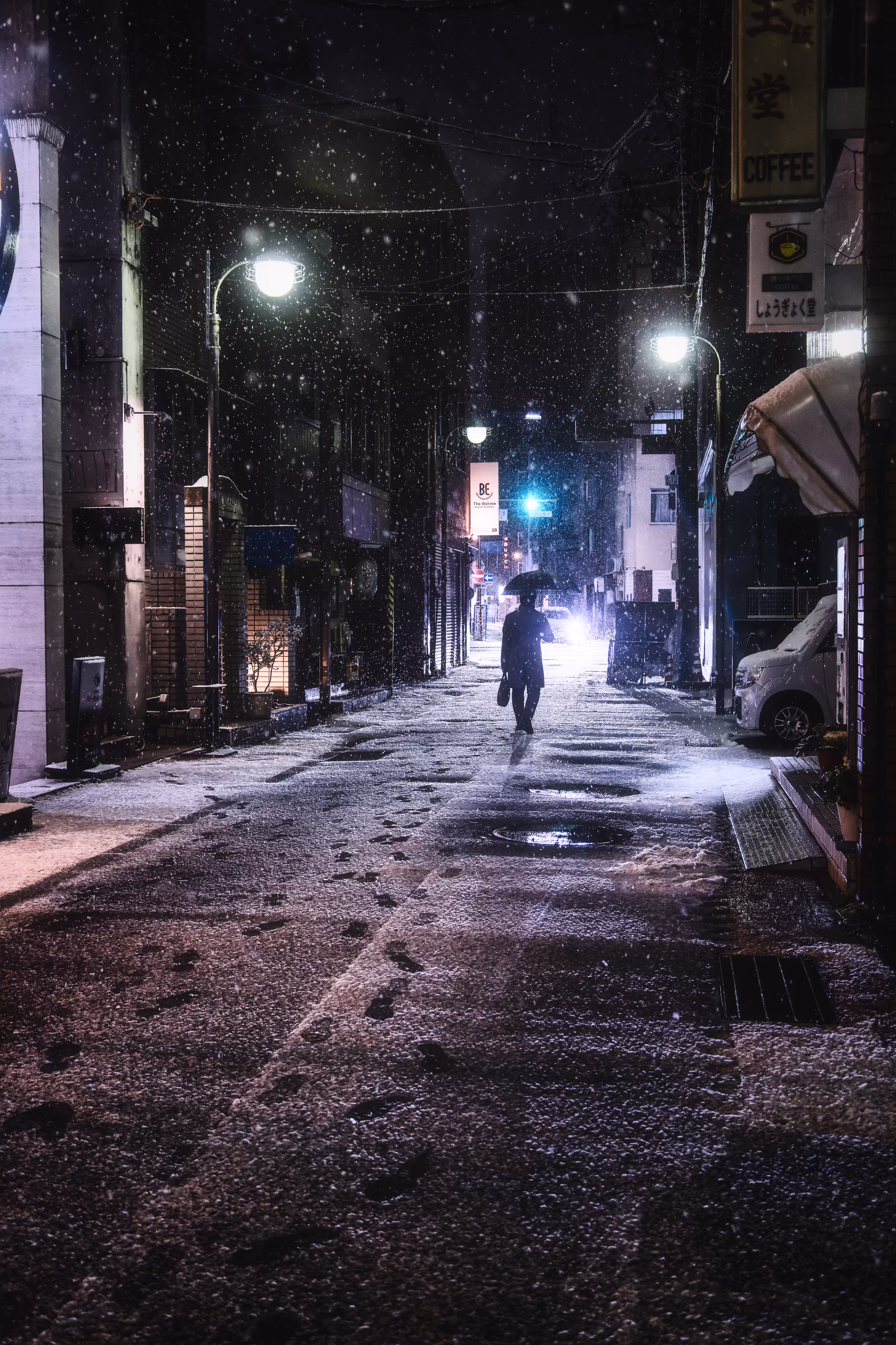 The snowy way home