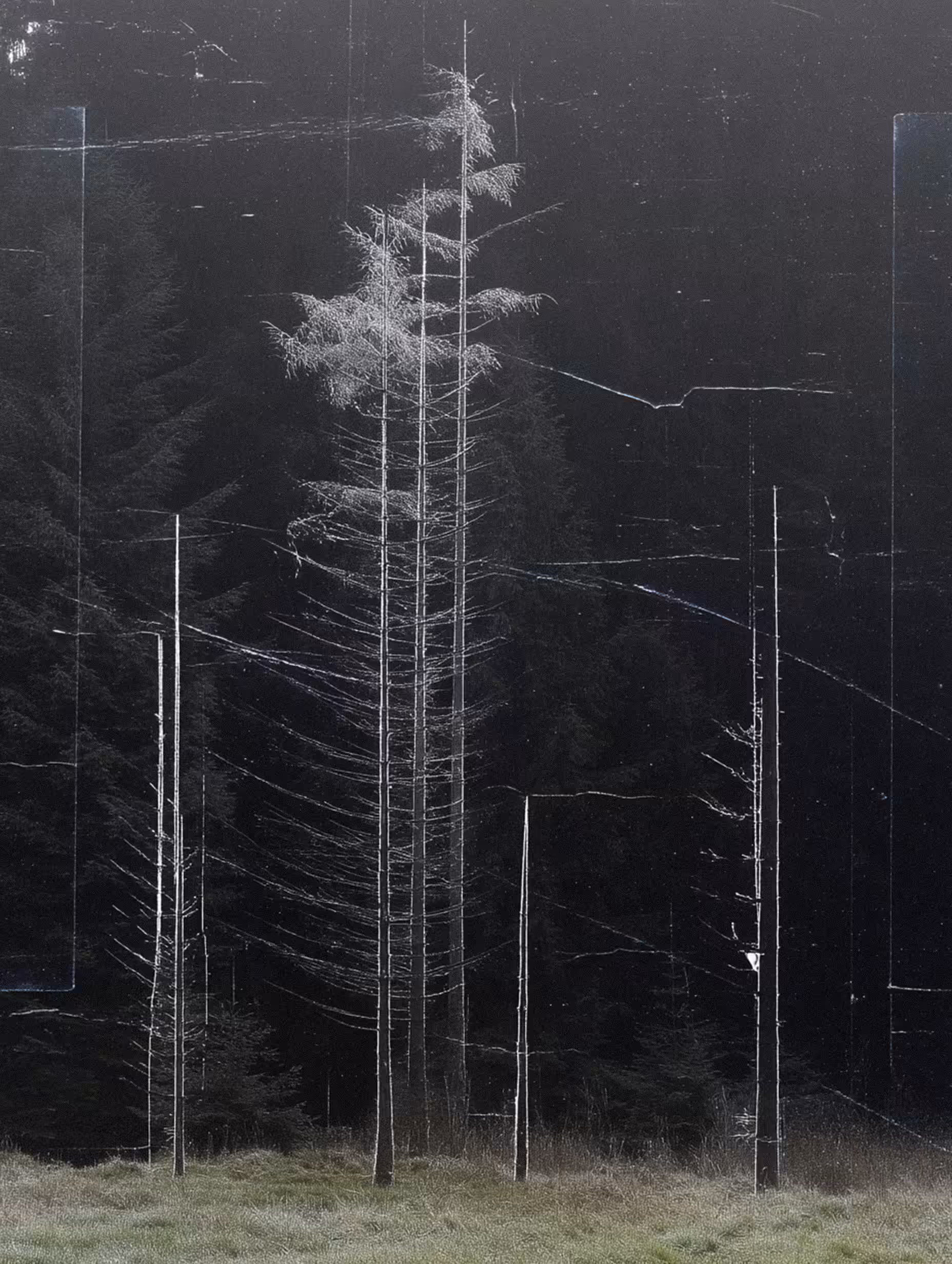 NeLandscape [20]