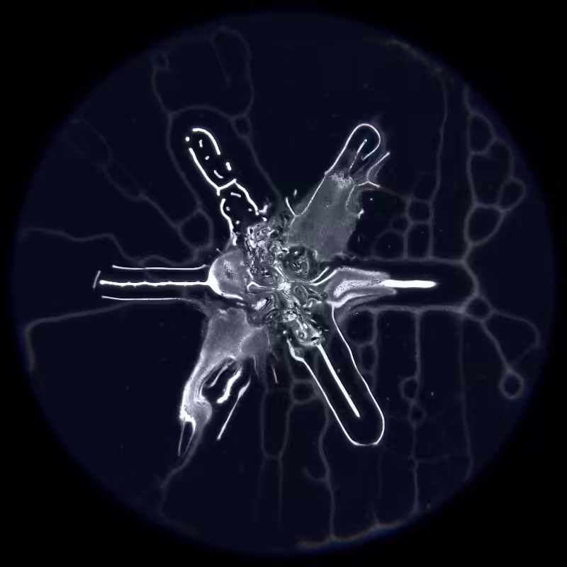 Ethereal Microcosm #35