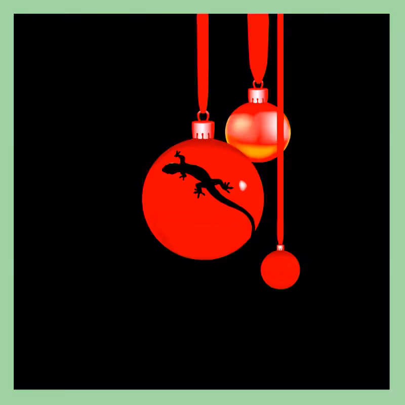 Gecko #4