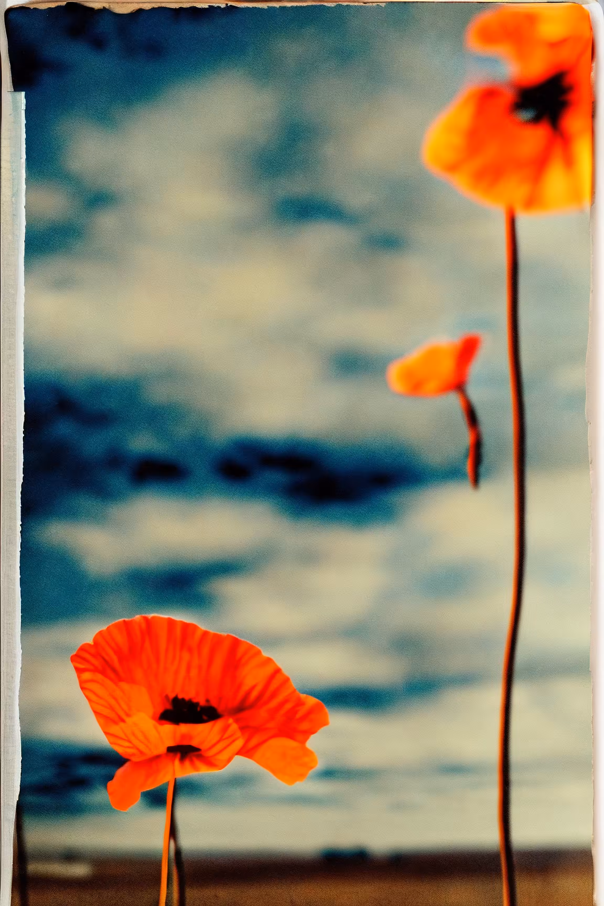 Utopia Found #12