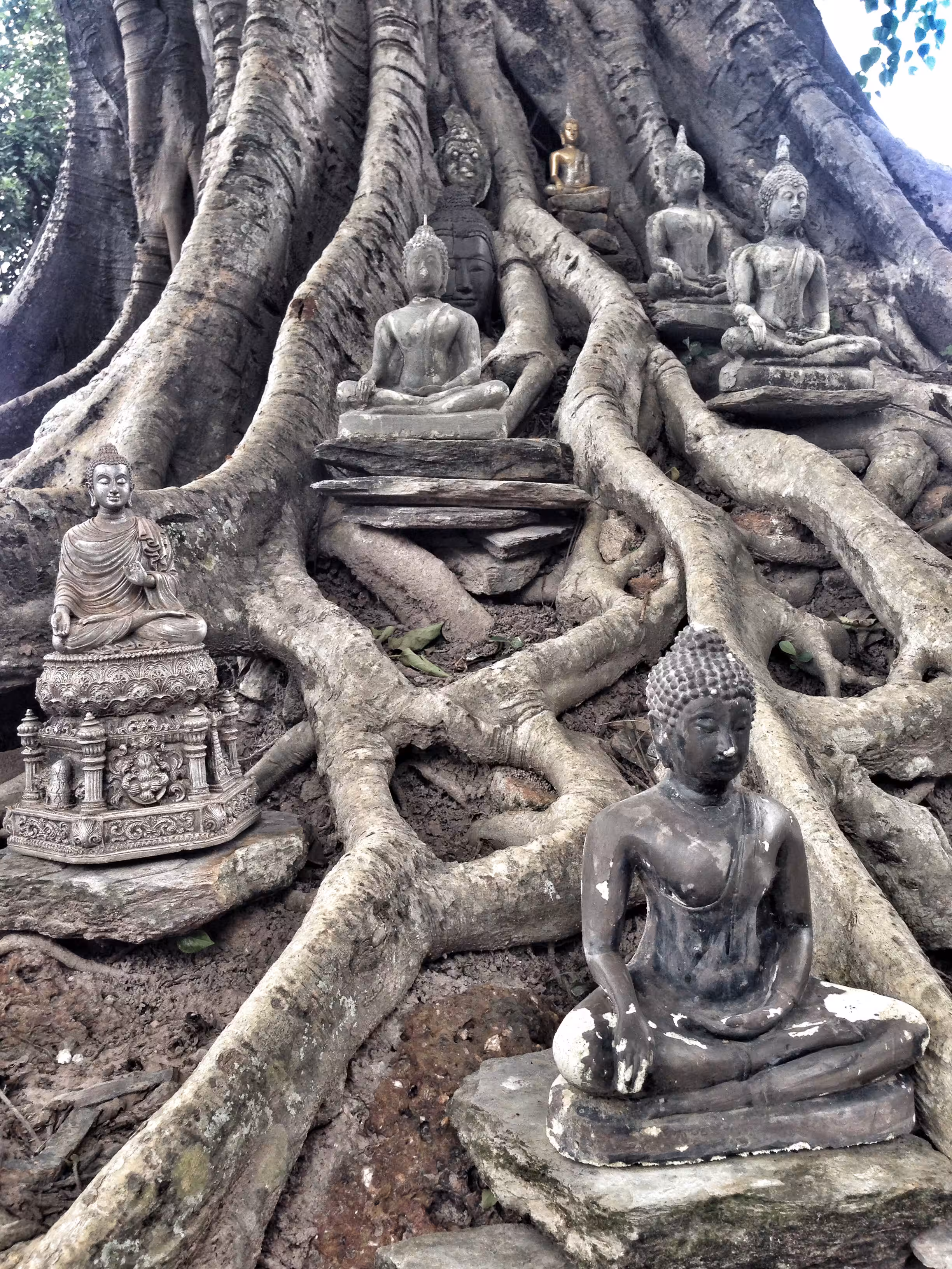 Thailand 19