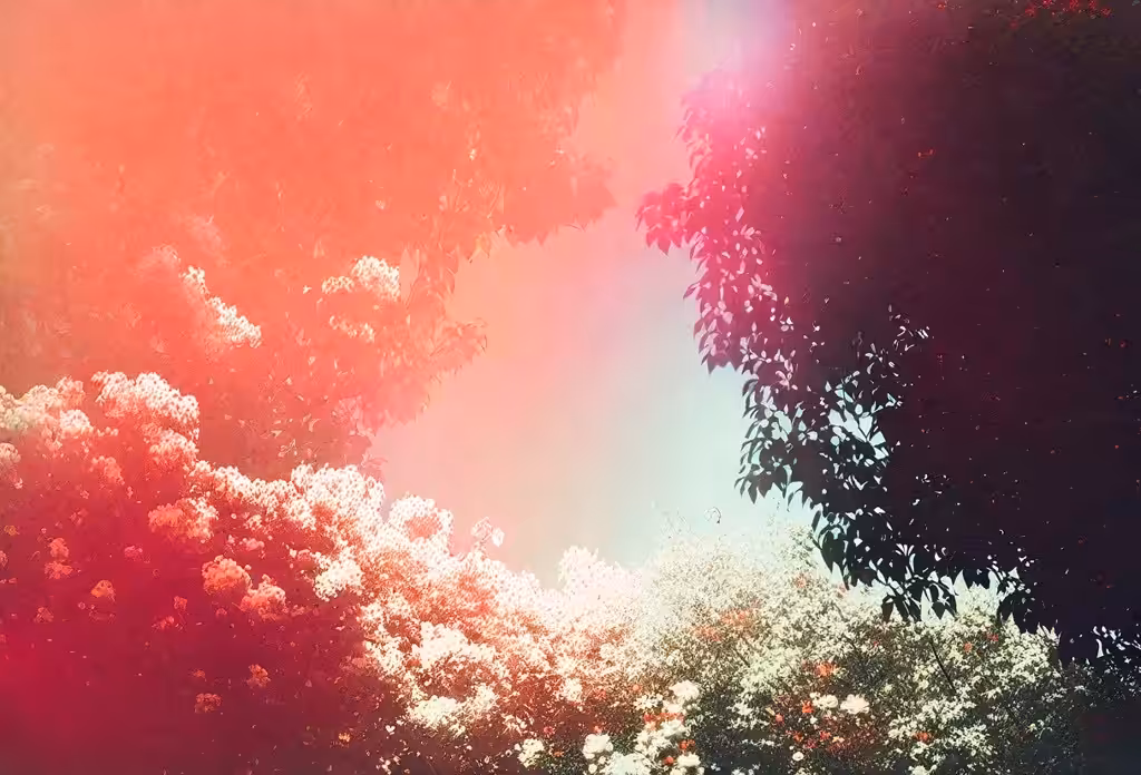 natural fiction 3.1