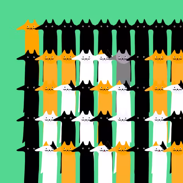 The Catsssss #4