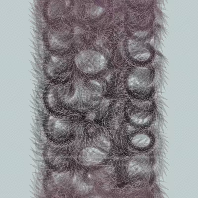 Braids/burdens #12