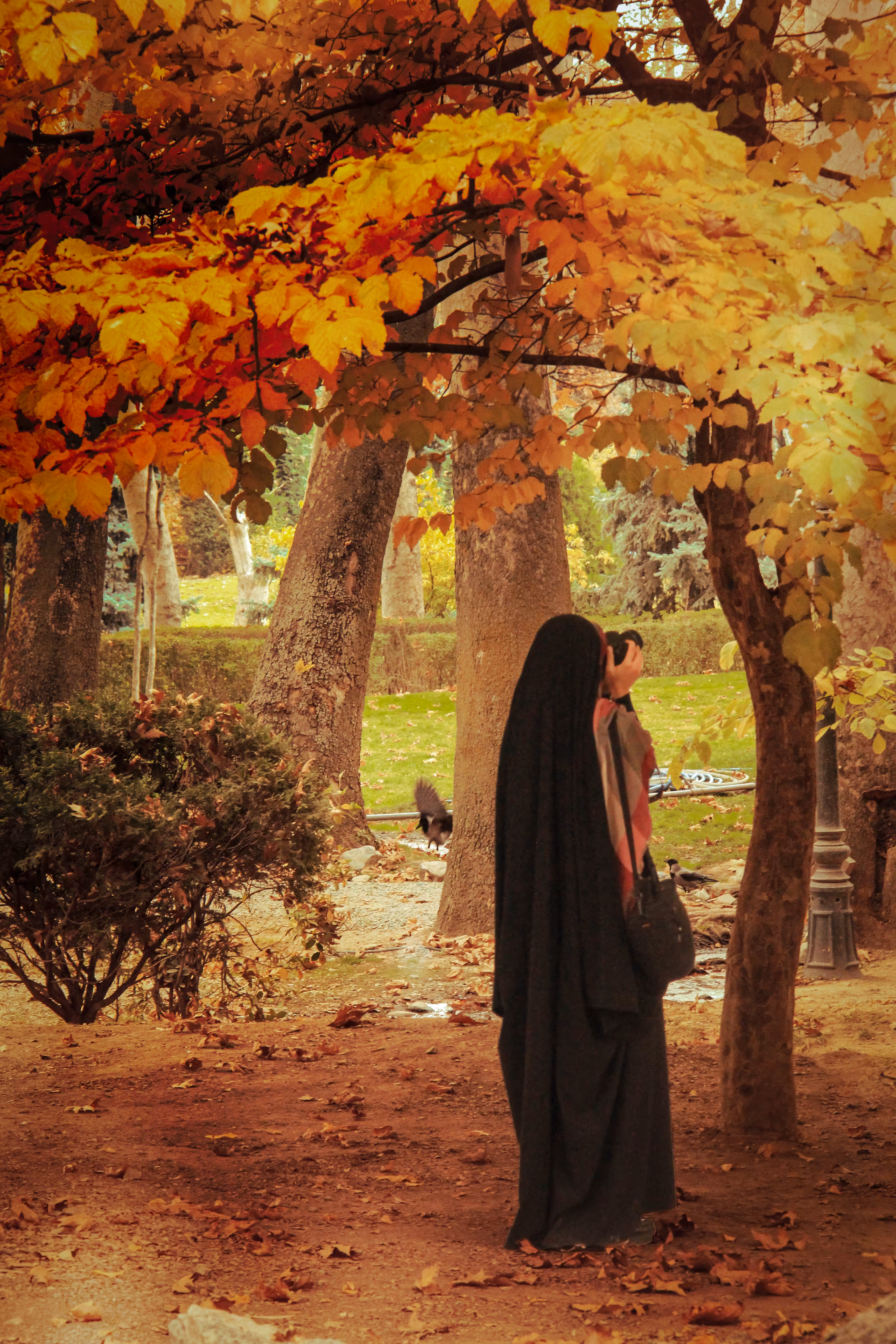 PeoplE: In the Silence of Autumn