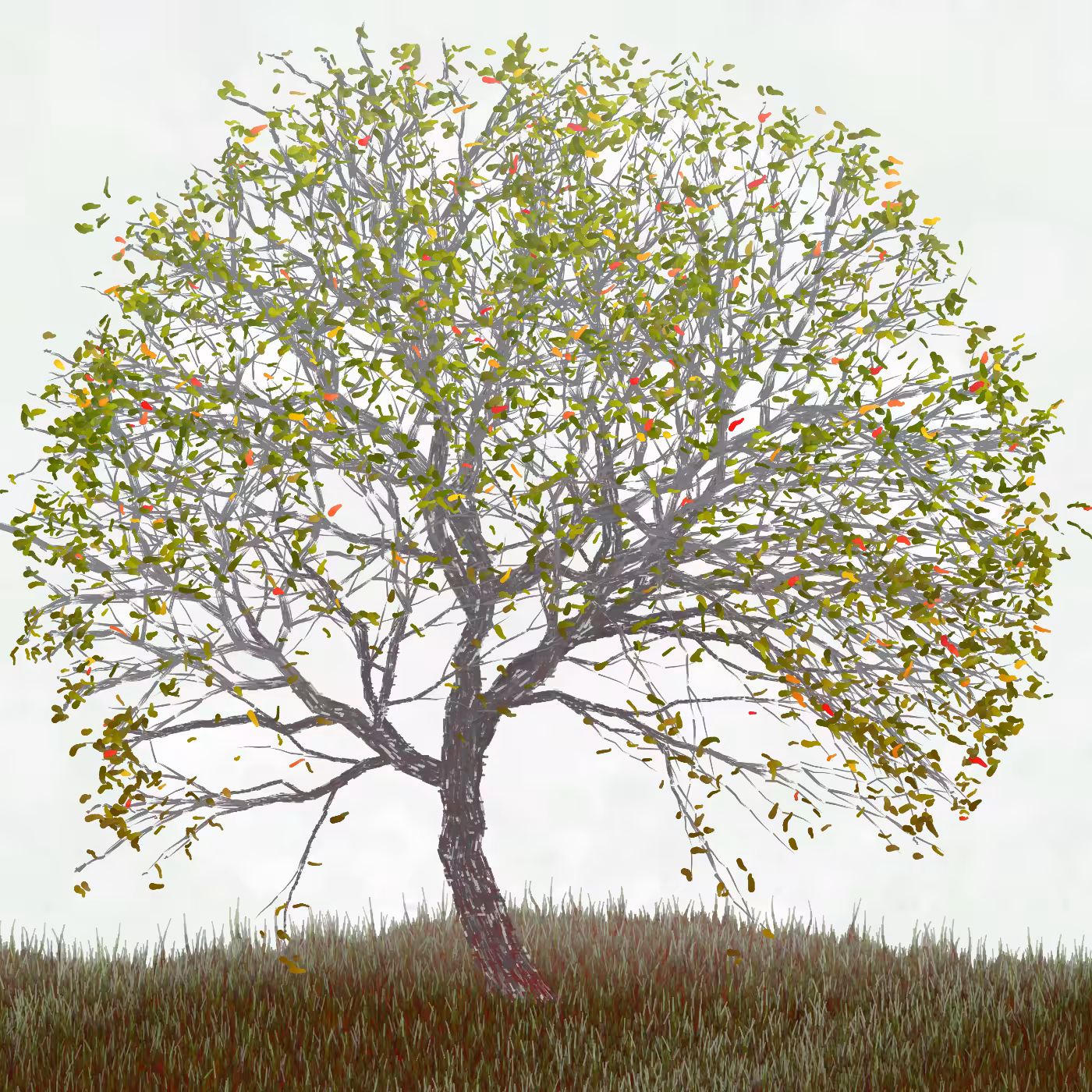 Ornamental Tree #65