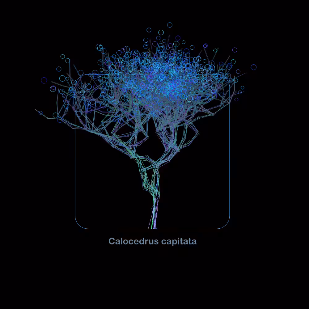 Fluidynamix - Trees #45