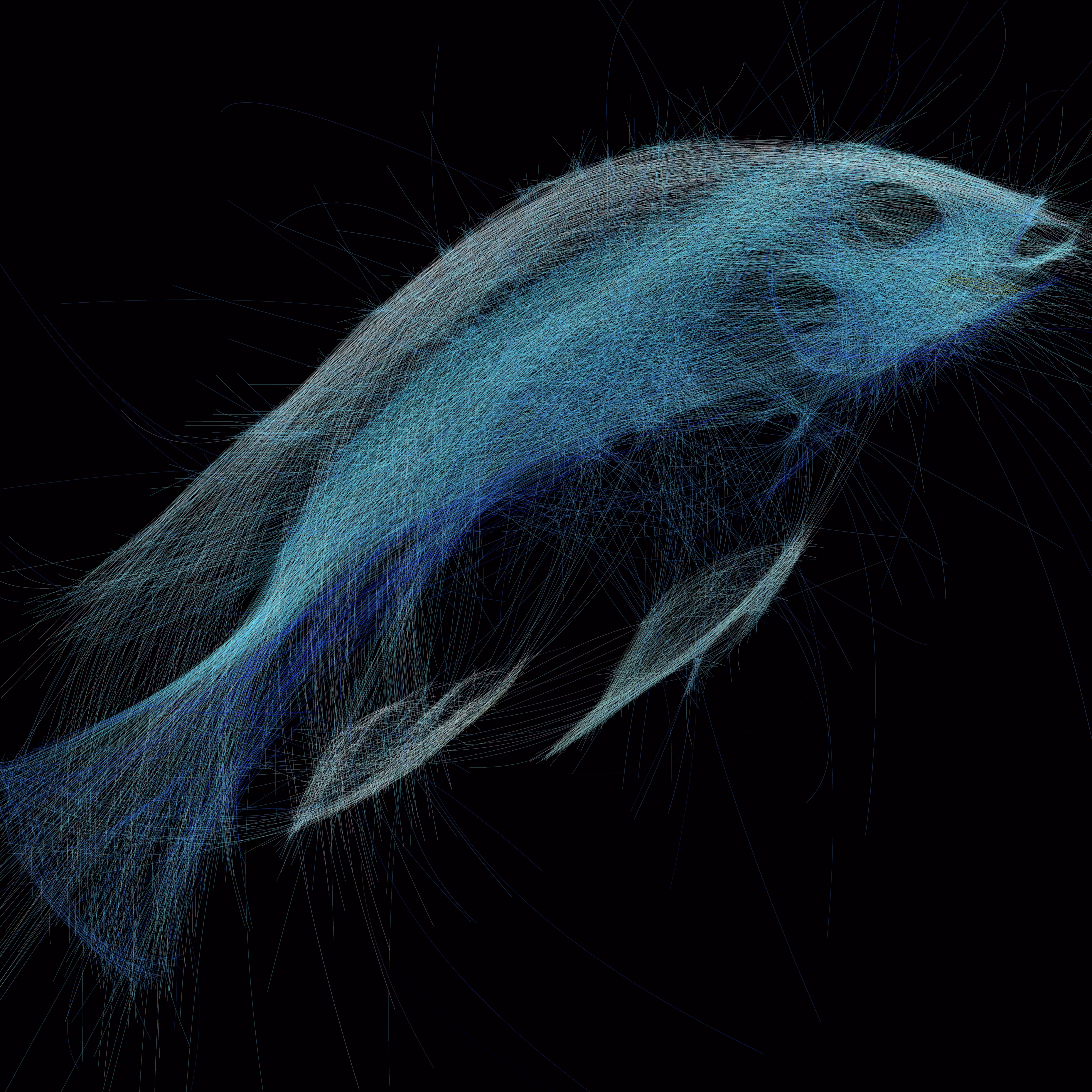 Underwater 307