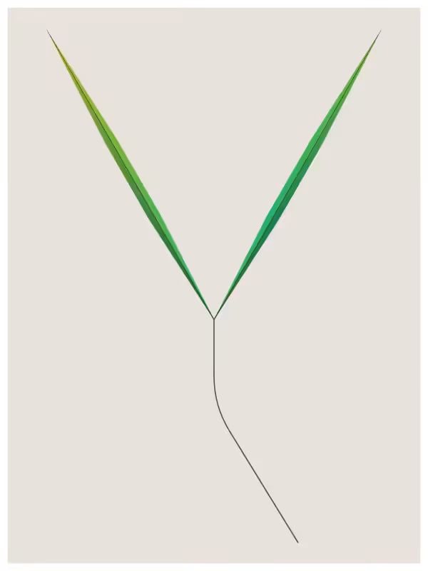 Leaves #7