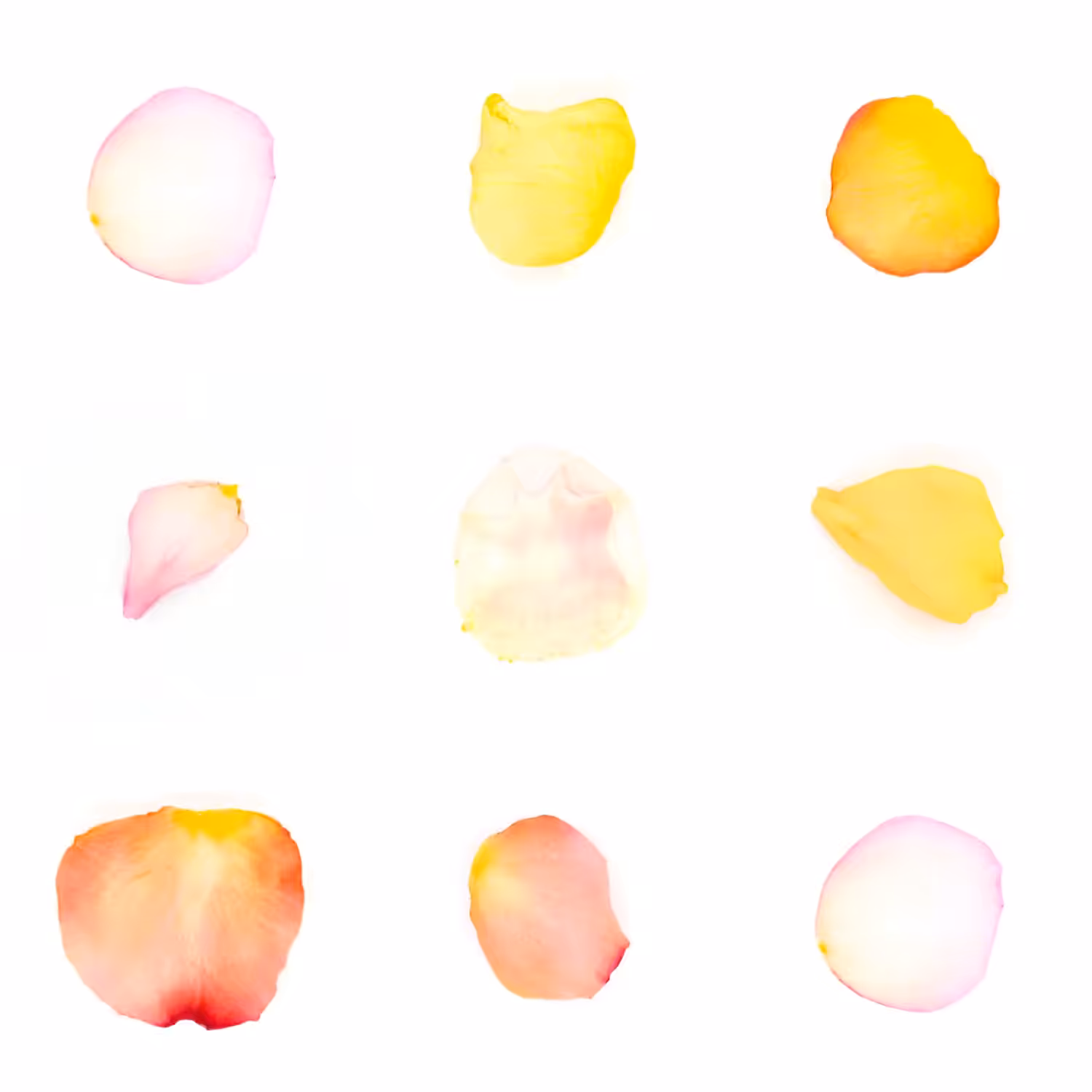 Infinite Petals 3x3#3245