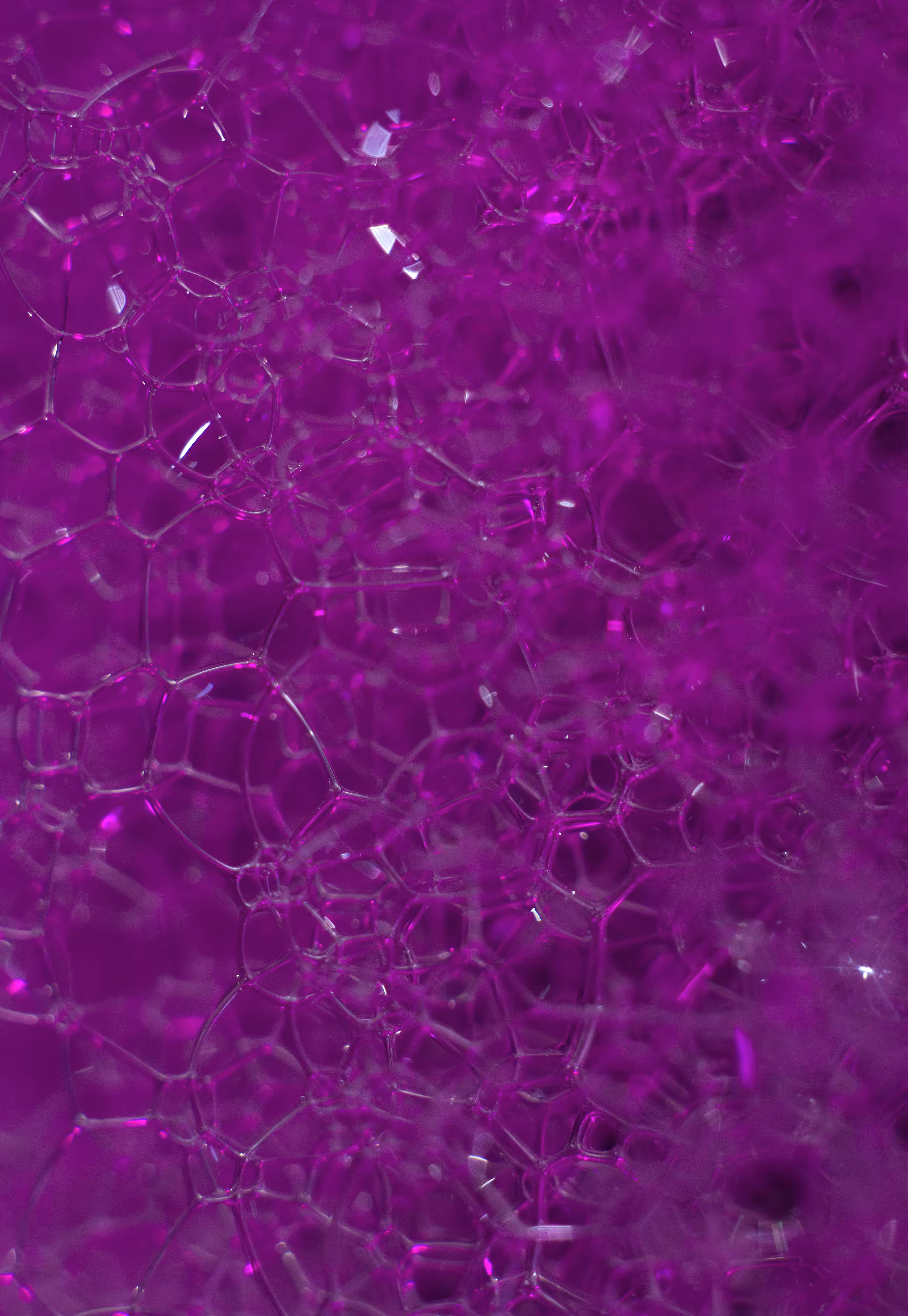 #103 Bubbles