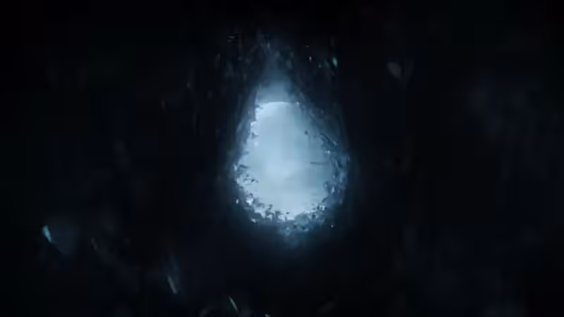 DX01: SINGULARITY 29193