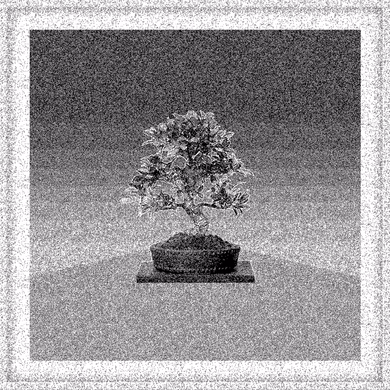 Bonsai Bonanza #418