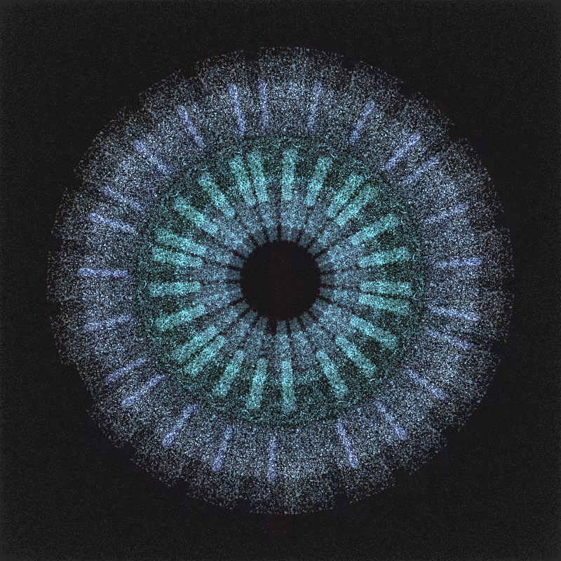 irregularities #42