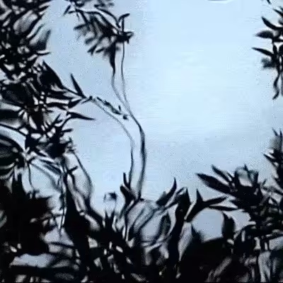 Emergence