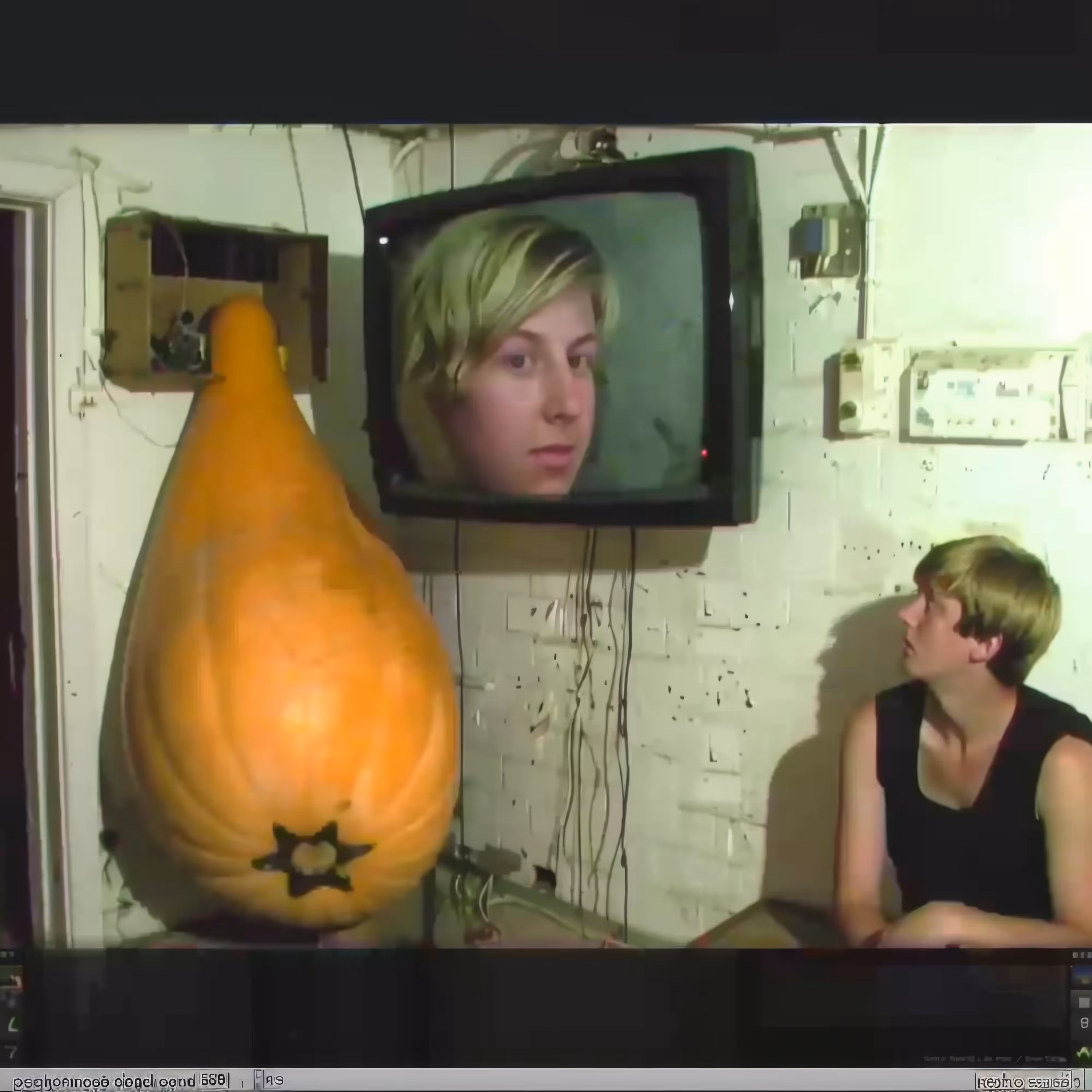 Gourd-Videophony