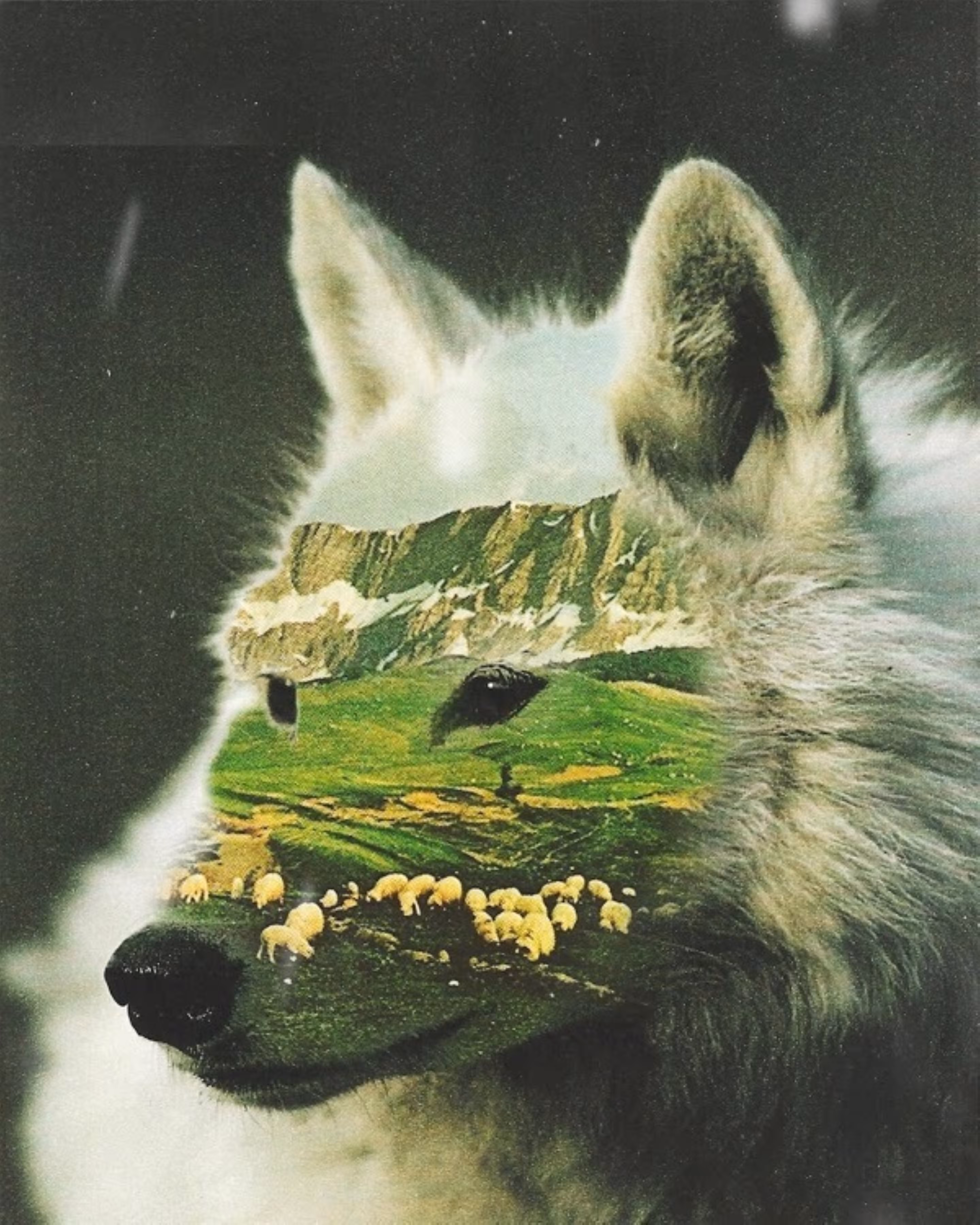 Hunger