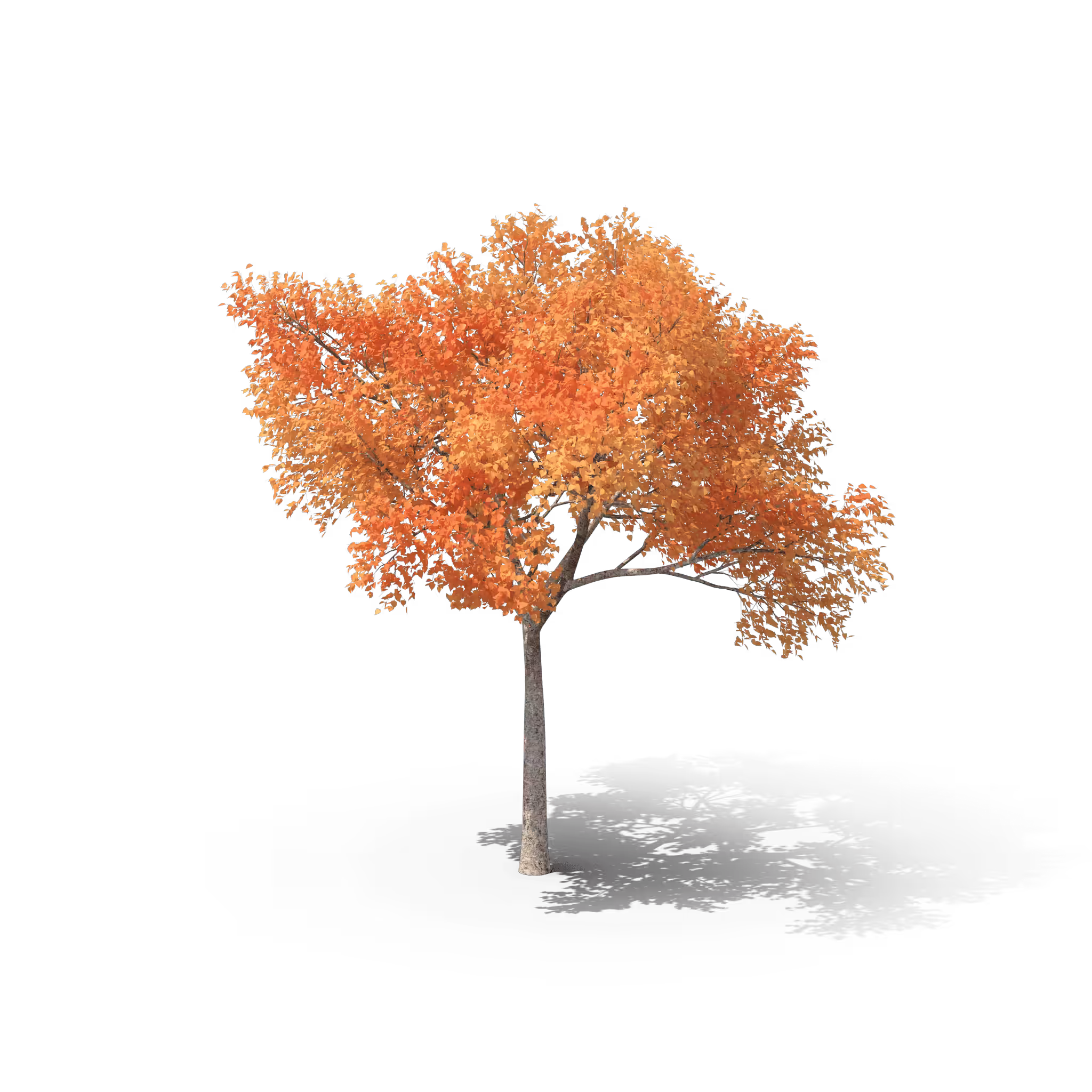 Your Tree I Fall