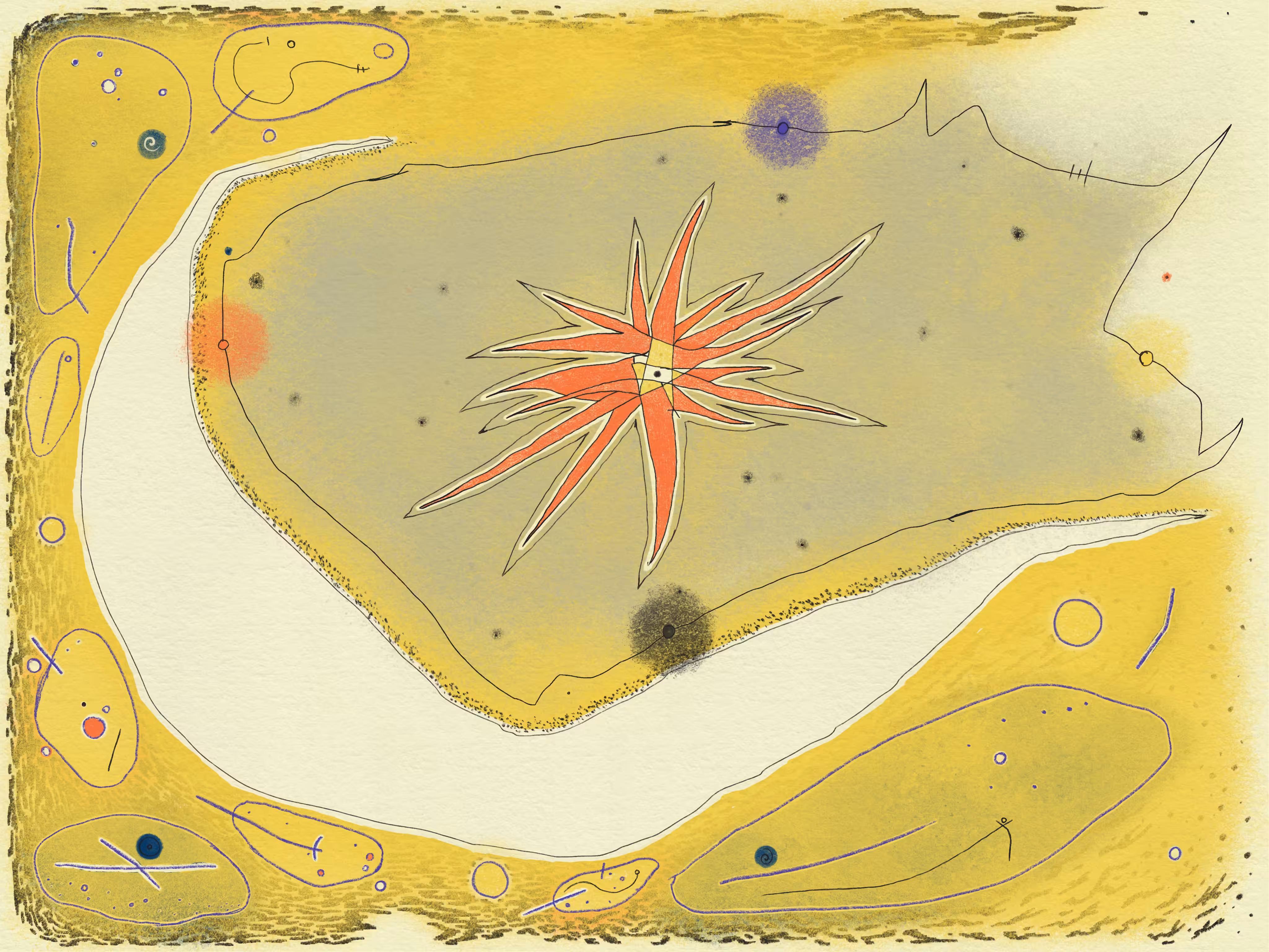 Starfish Among Shoals