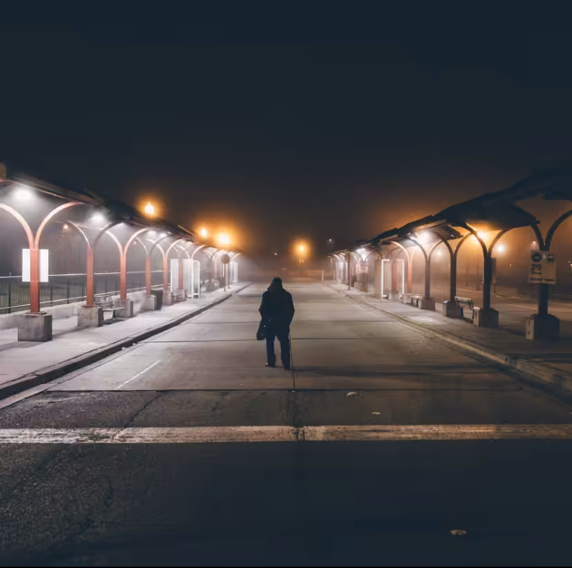 The Late Passenger 