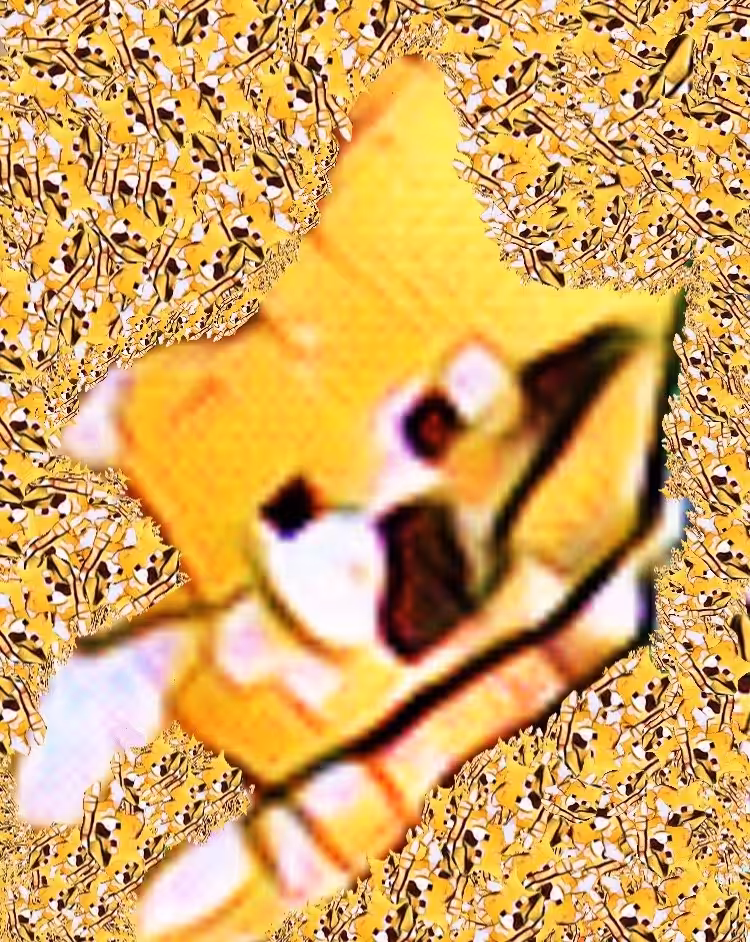 Swimming in Doge 