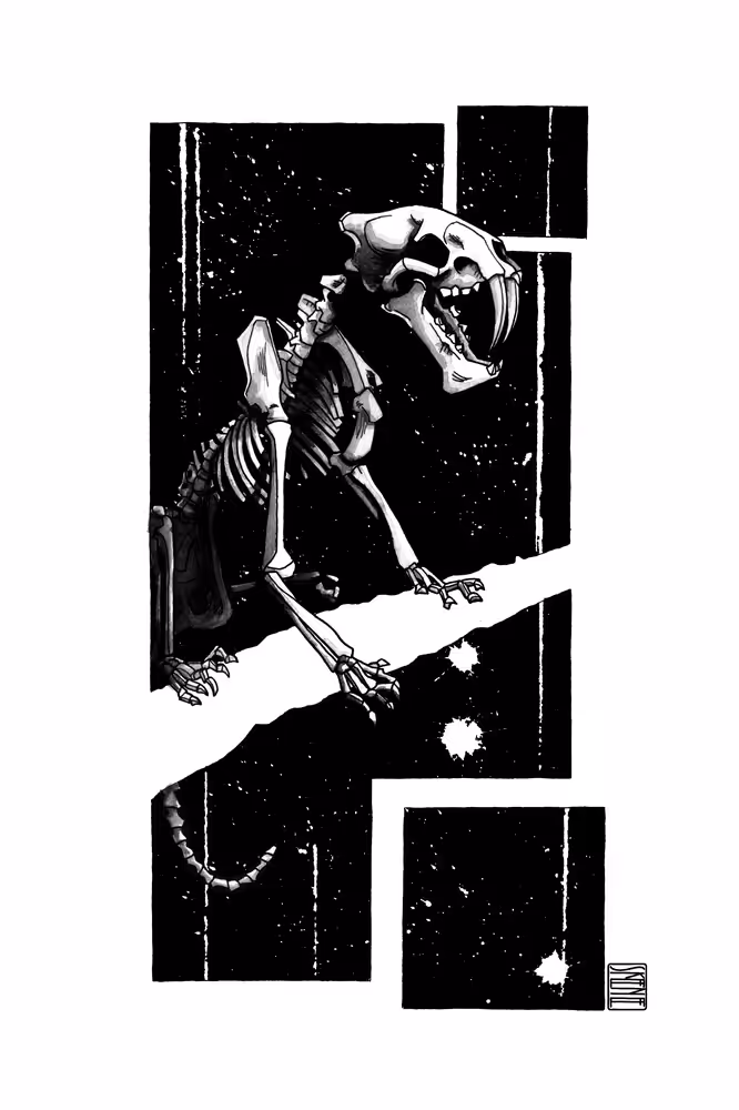Saber-toothed Tiger Skeleton