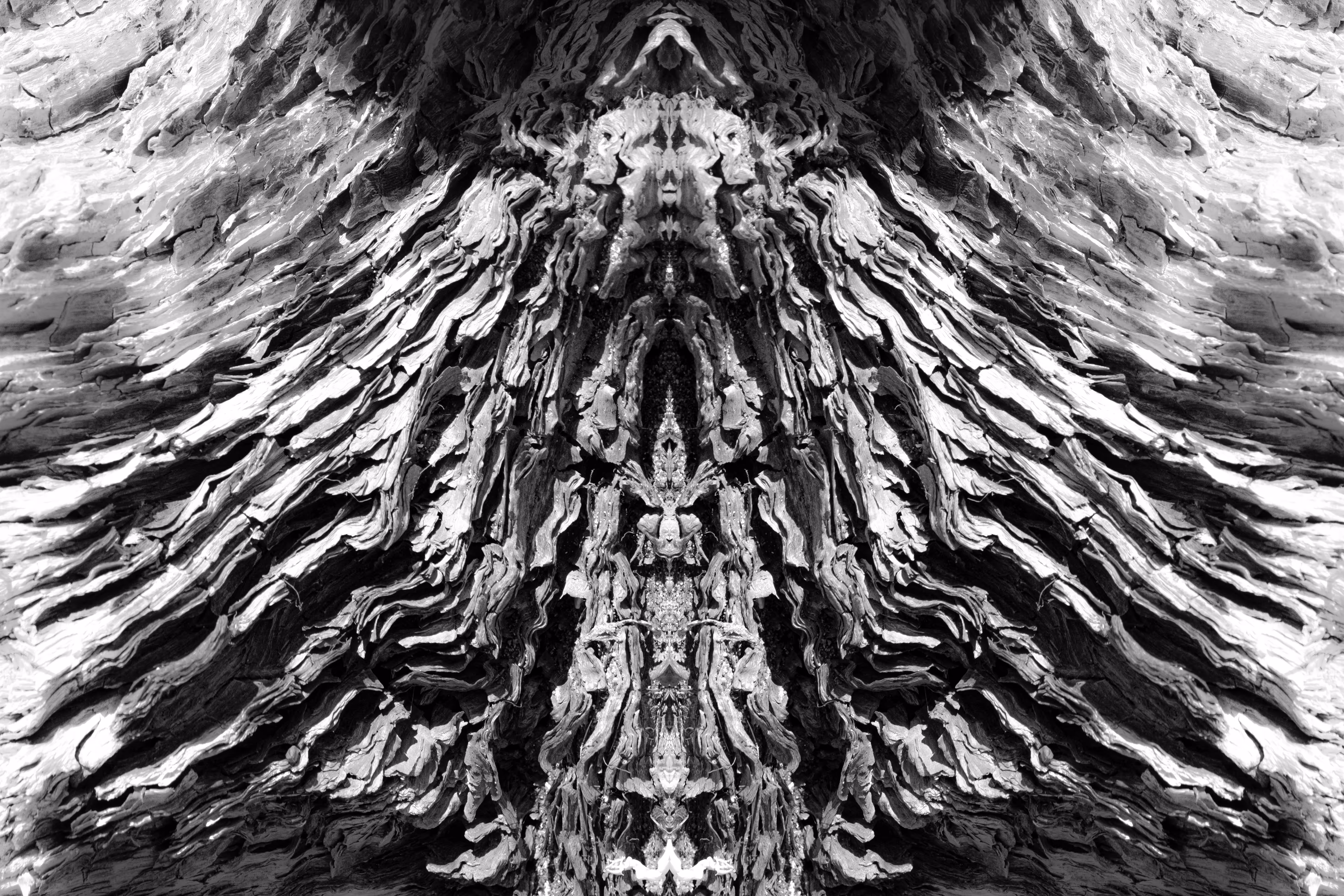 Rorschach #217