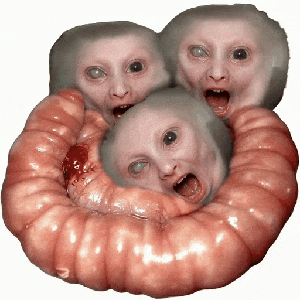 ribnarp