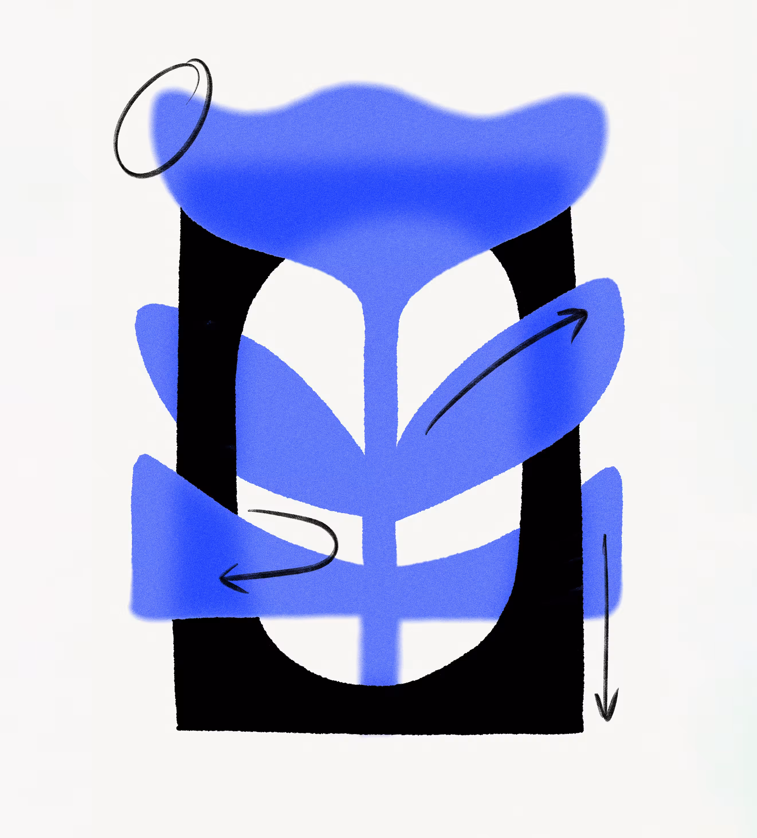 Osmosis