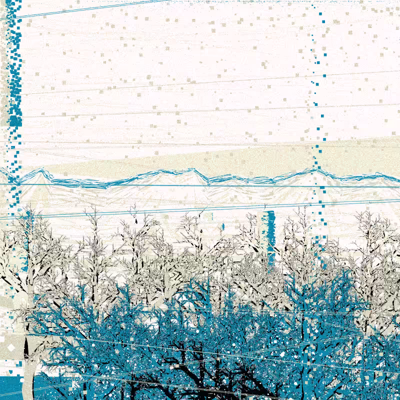 The Wintertime #132