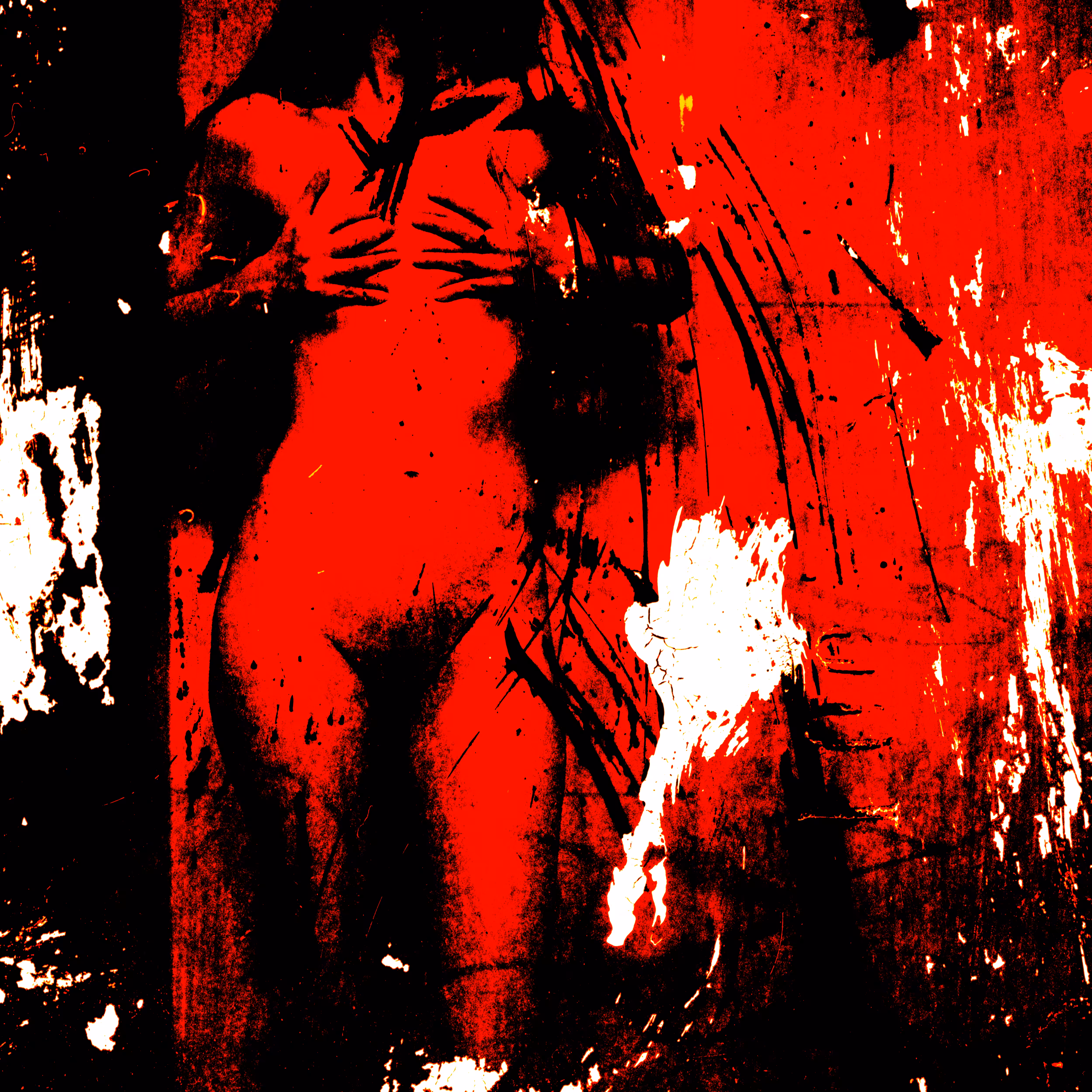 Hide