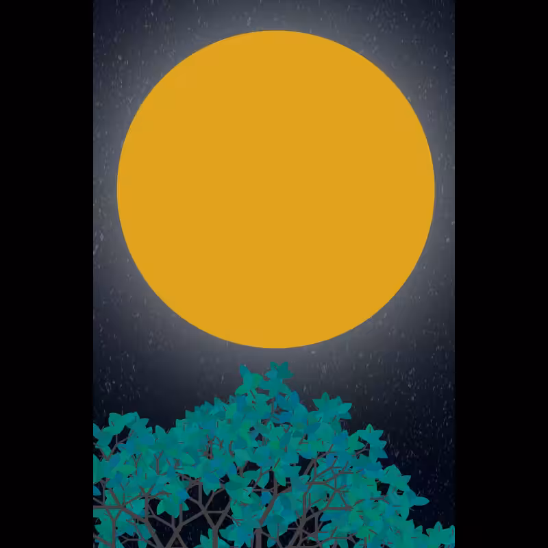 Moonlight Sonata #5