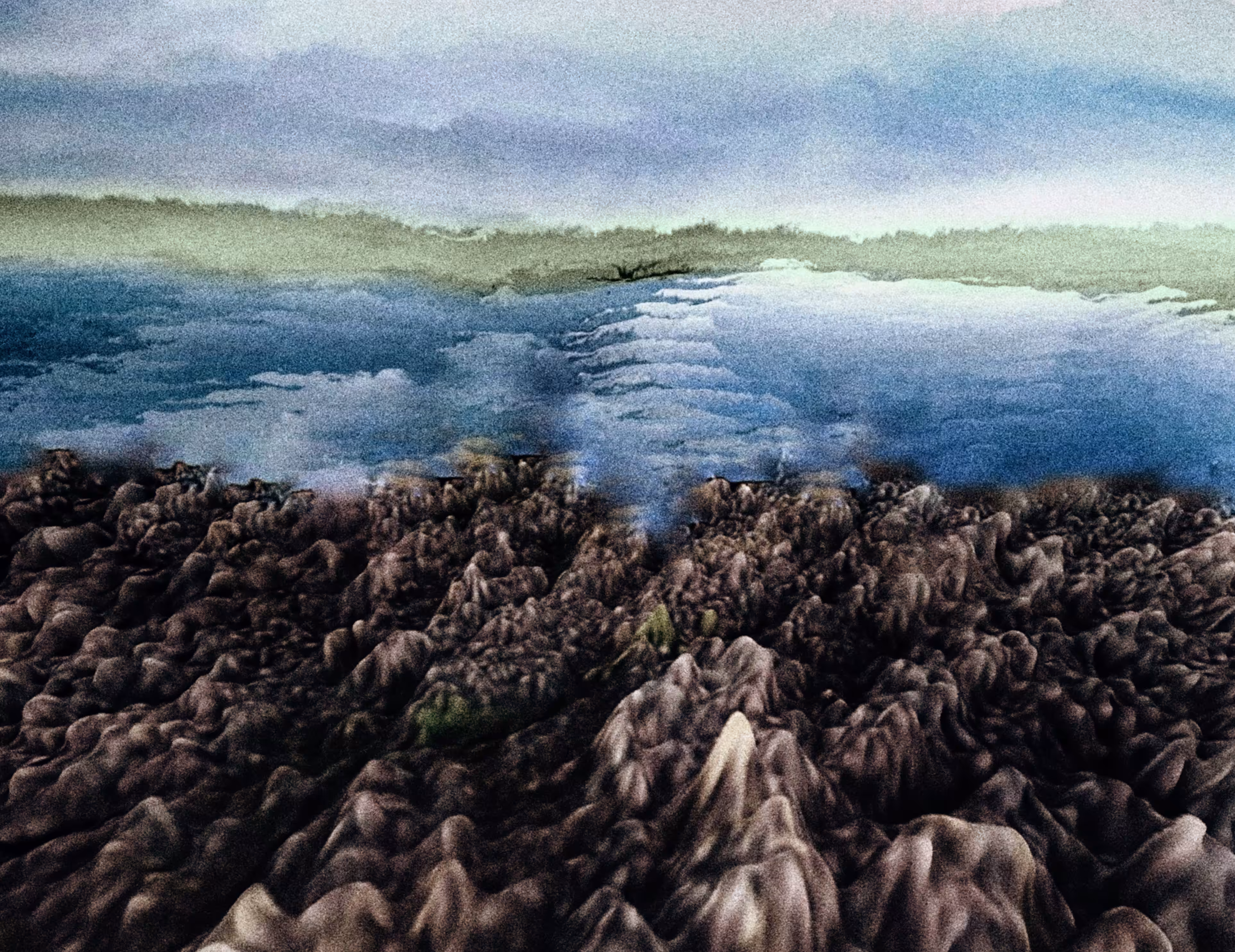 Nature Recreation: Coal Lake