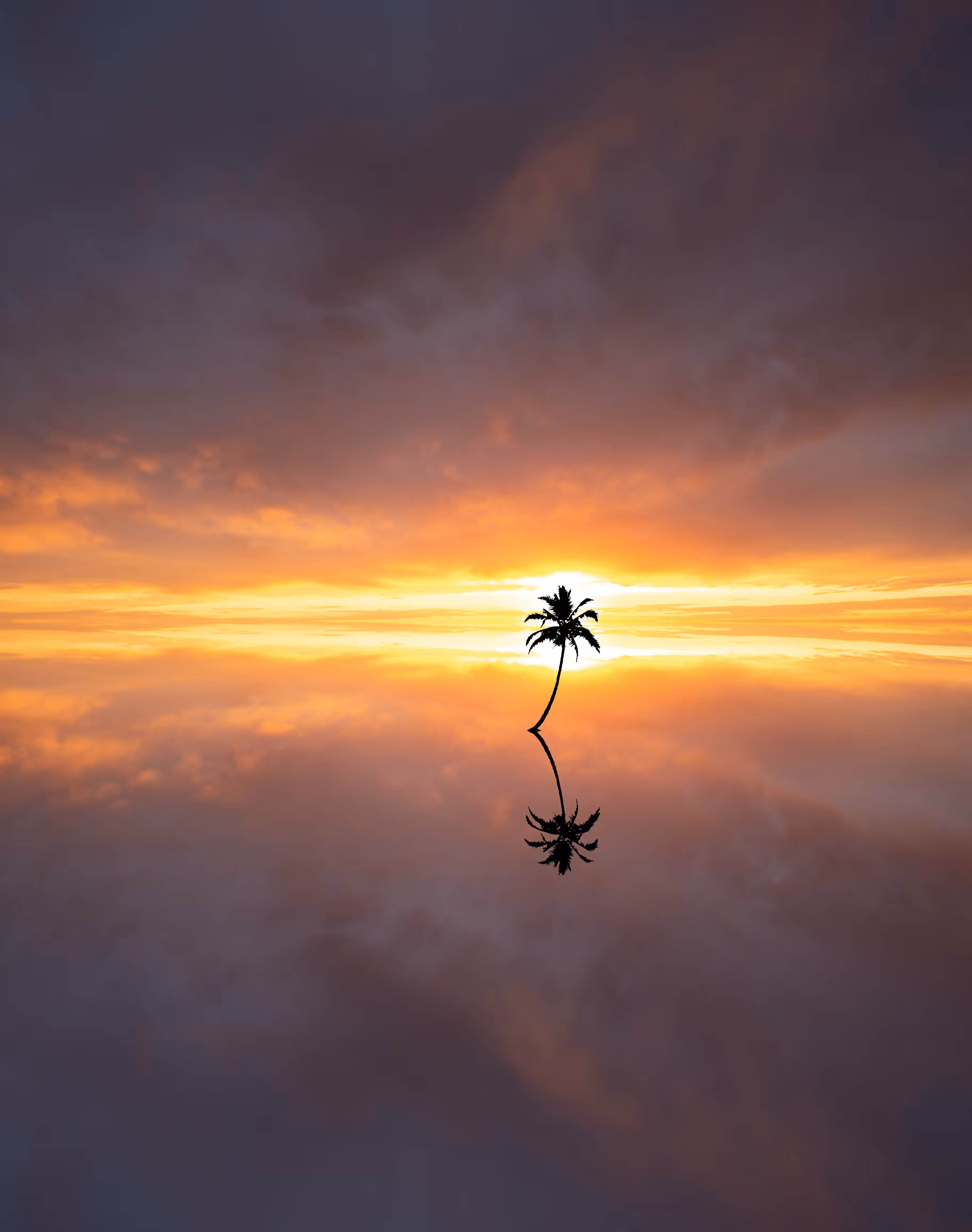 Reflection #54