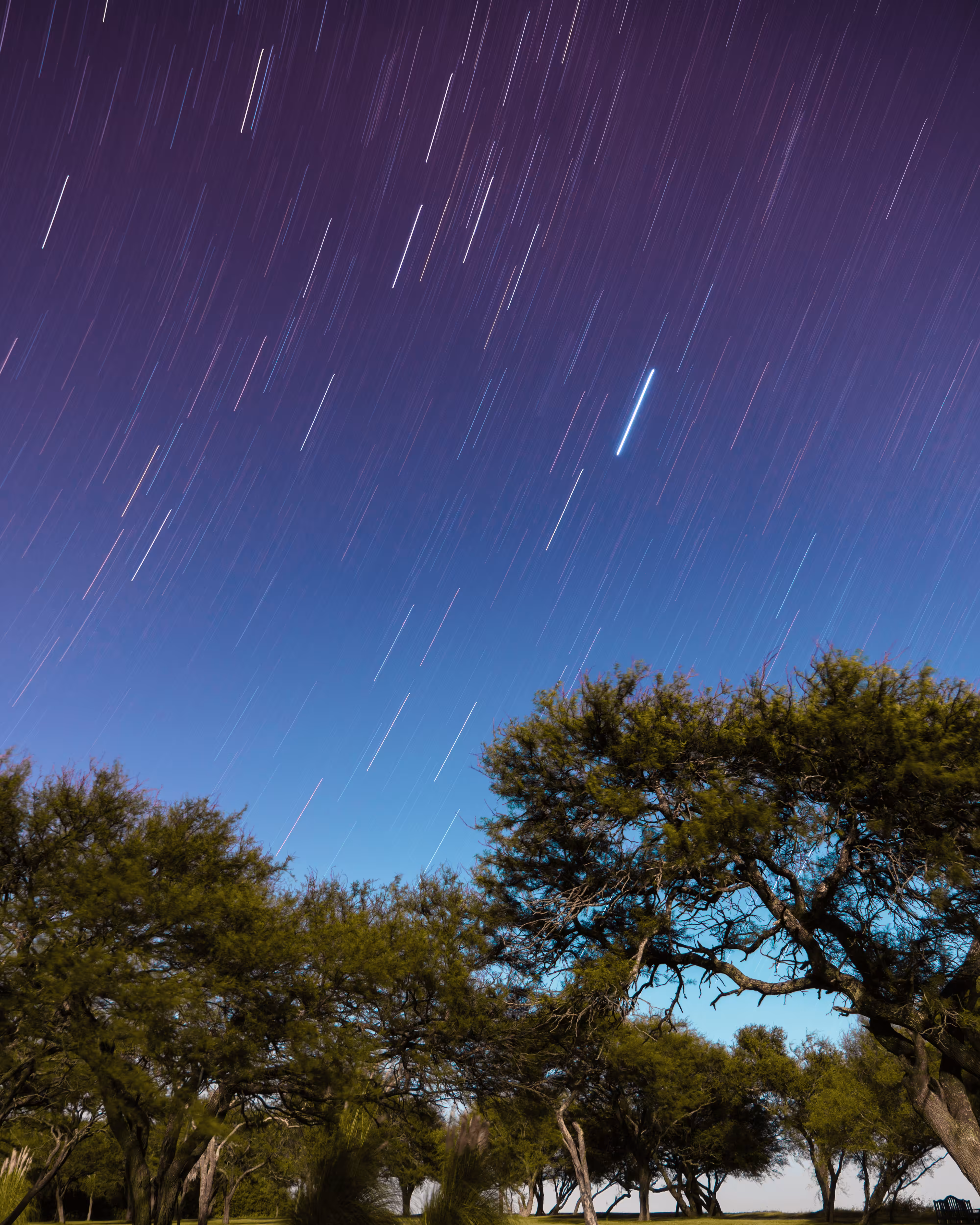 Star Trails