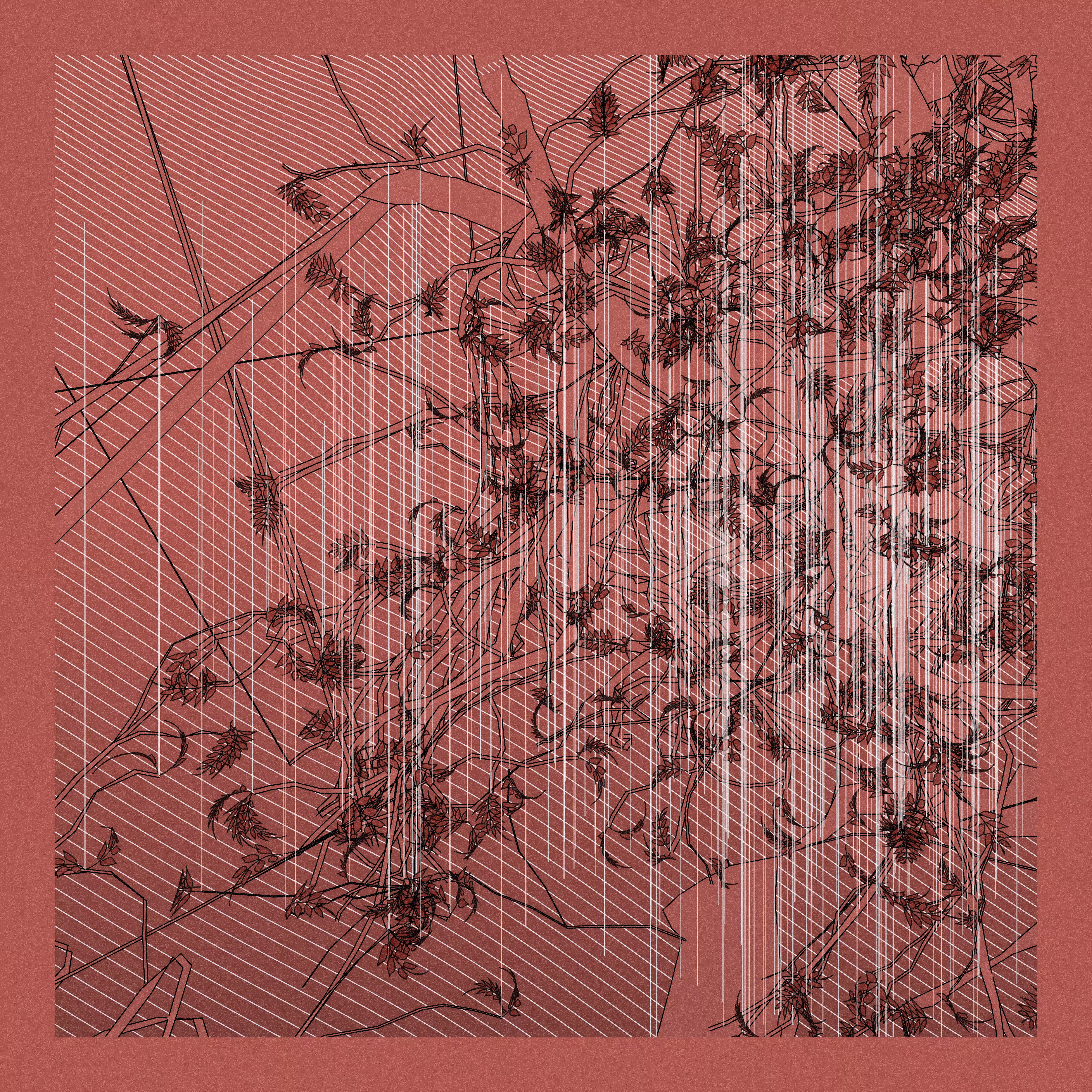 A Bugged Forest #50