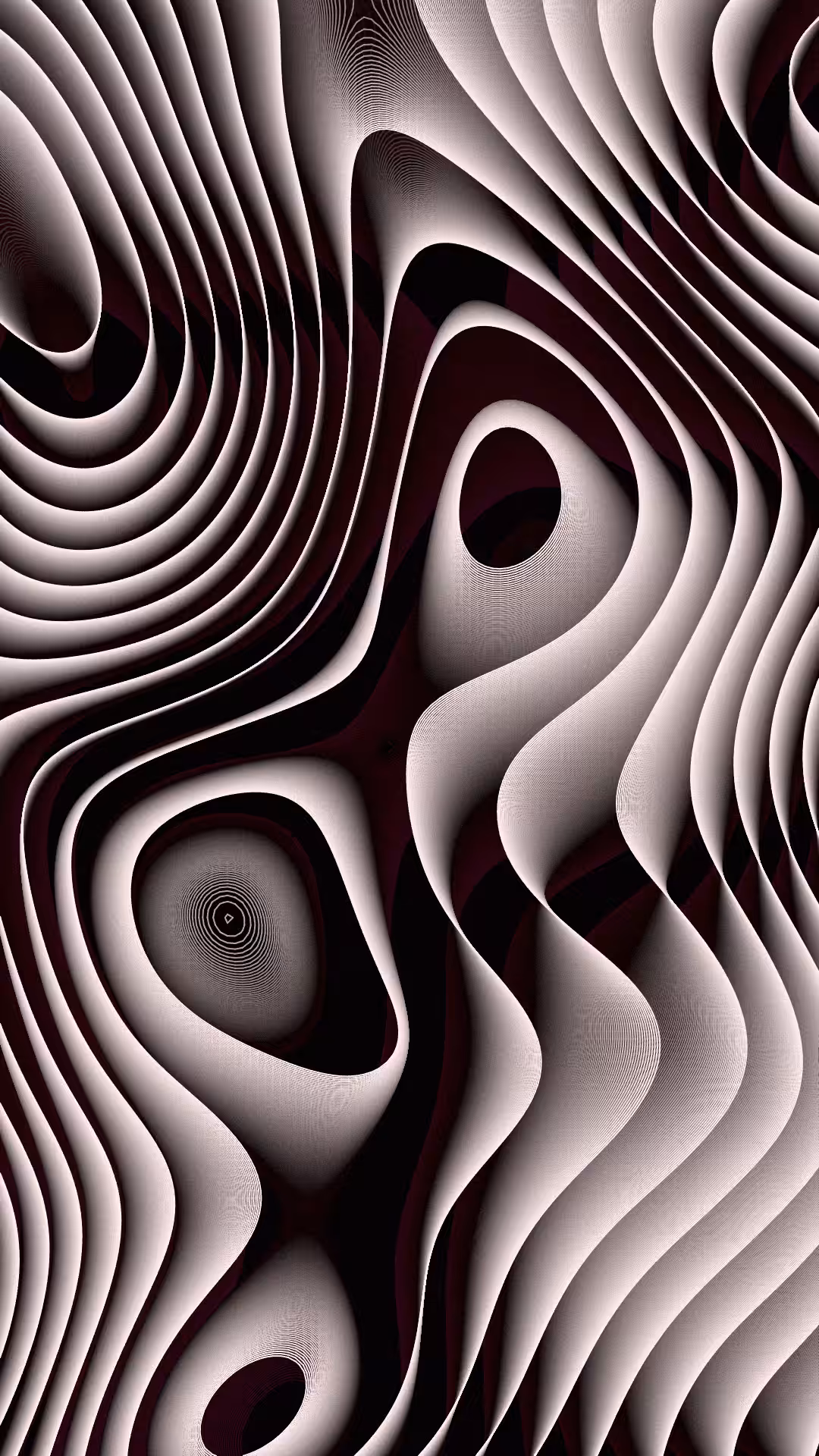 FLUID / Announcement