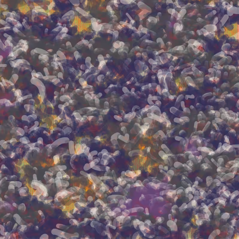 Petri 1500 #1026