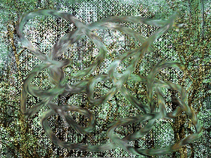 Broken Fractal