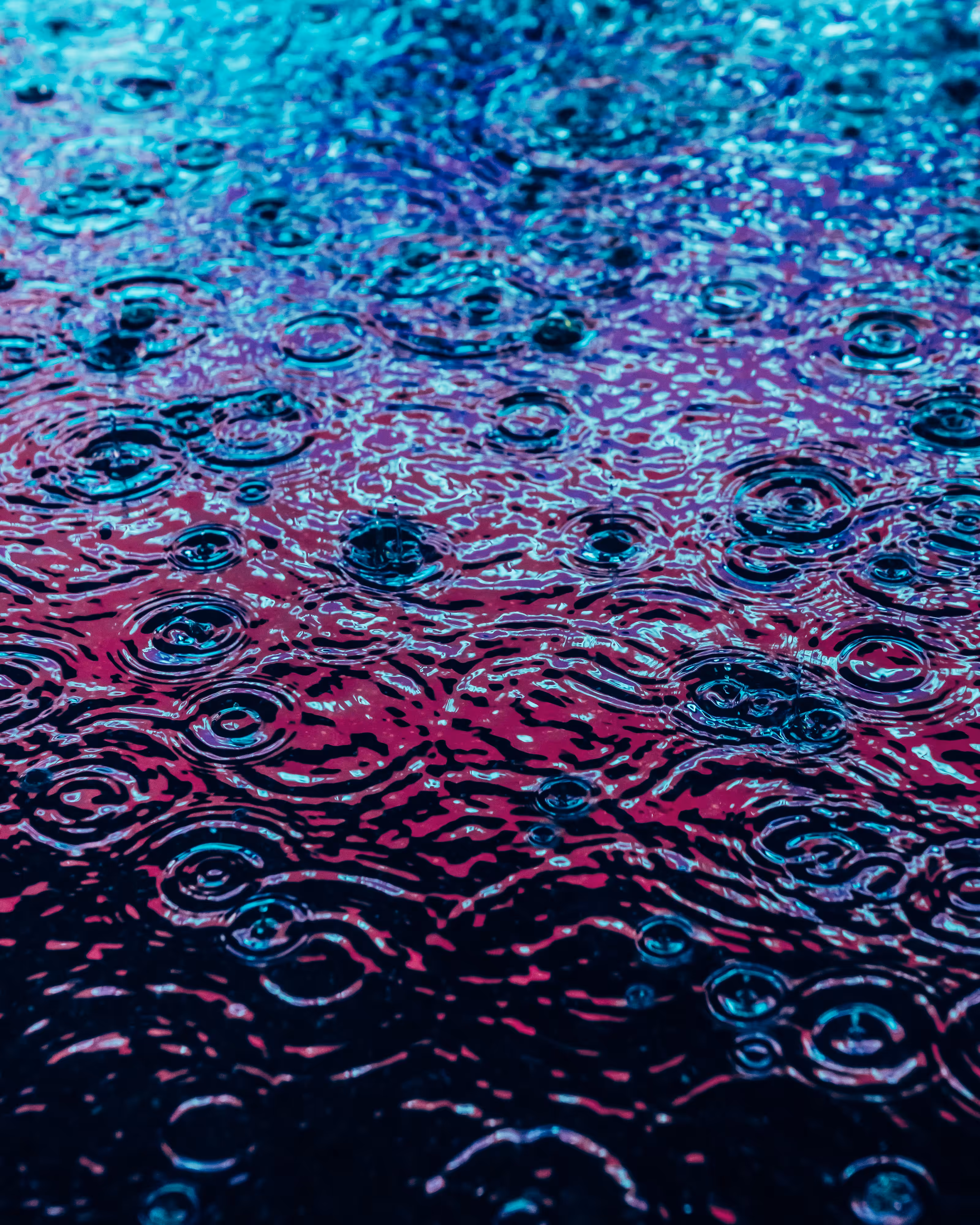 DRIP #691
