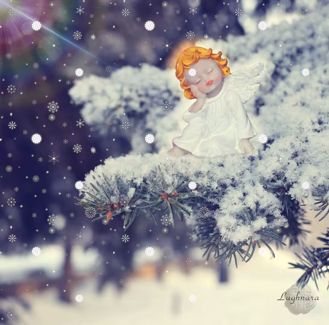 Sleeping Angel in the Snowfall