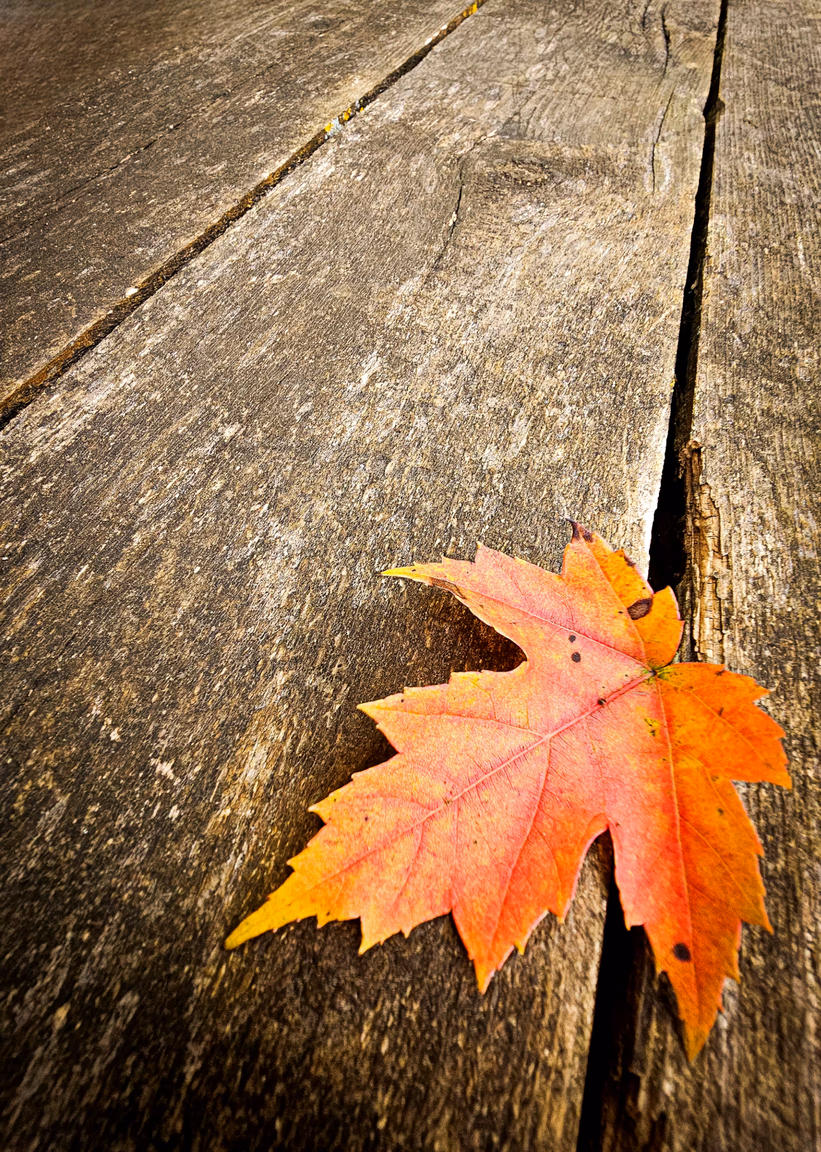 Fall #01