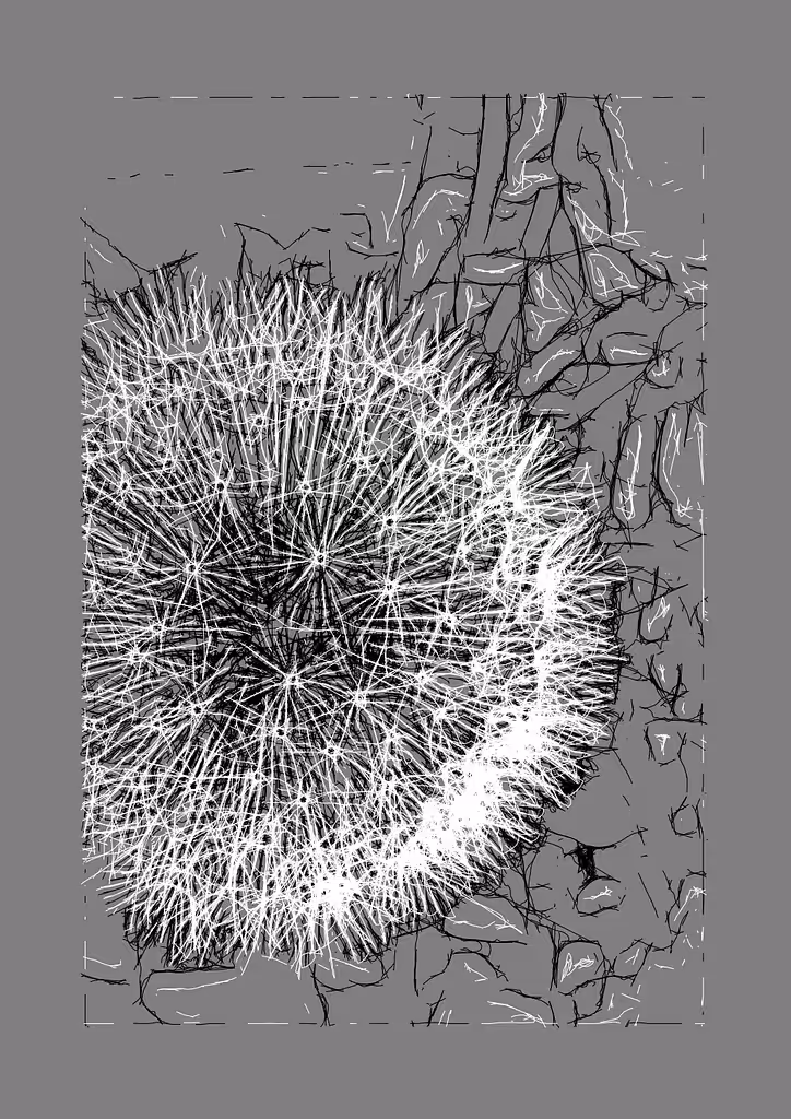 Dandelion