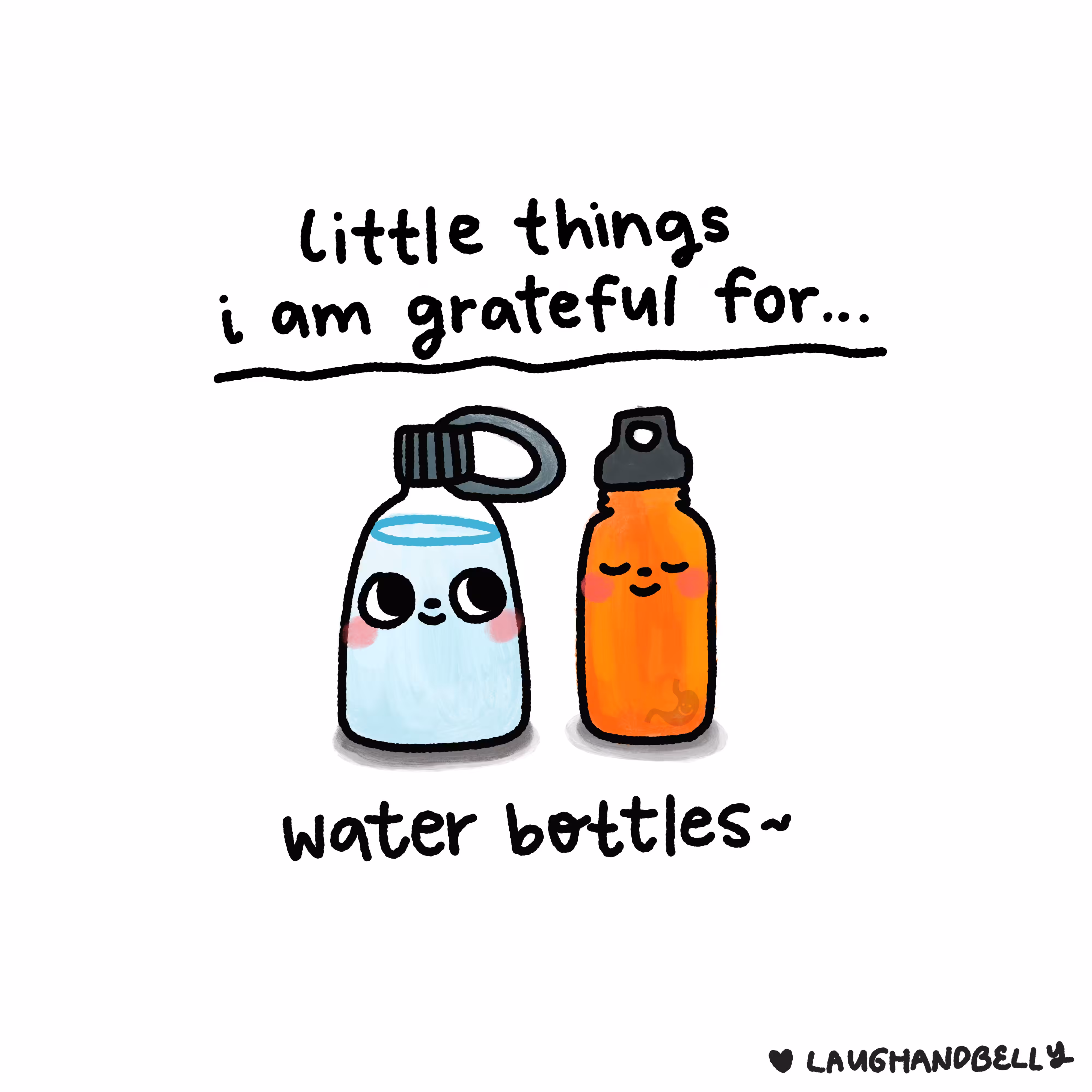 little things i am grateful for: Water Bottles