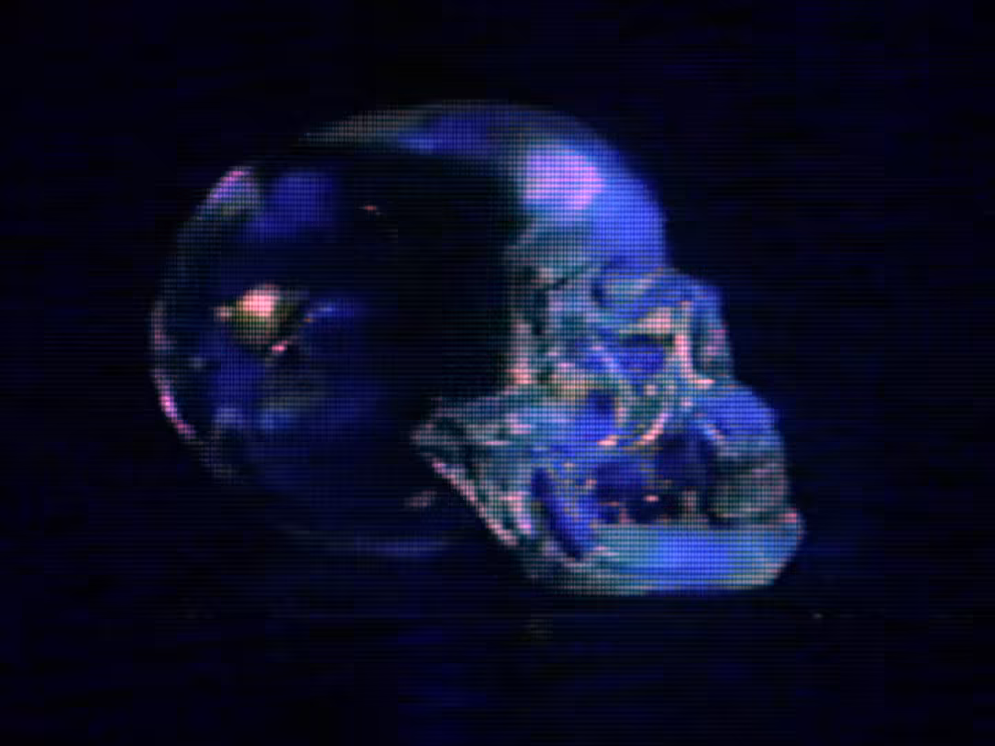 skull loop 002: crystalline entropy