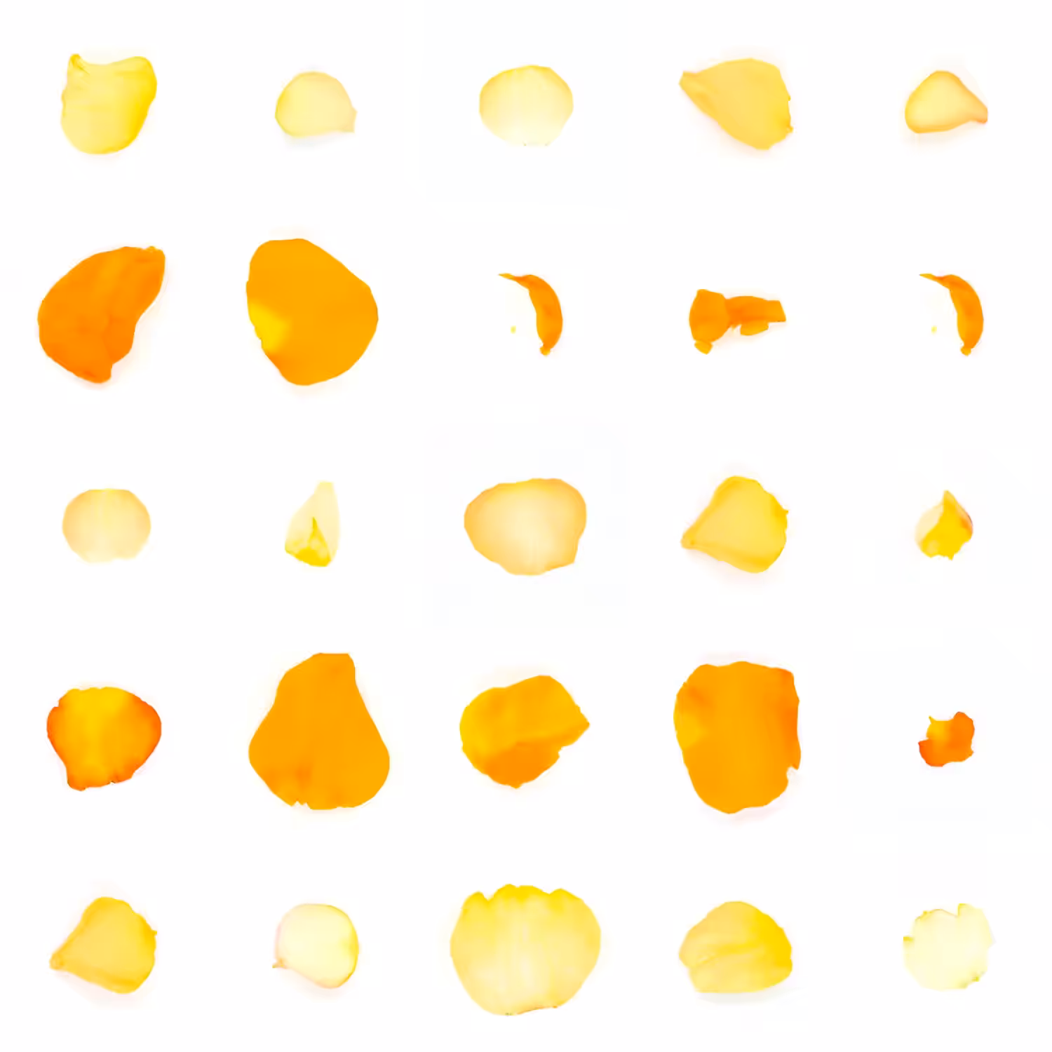 Infinite Petals 5x5#21019