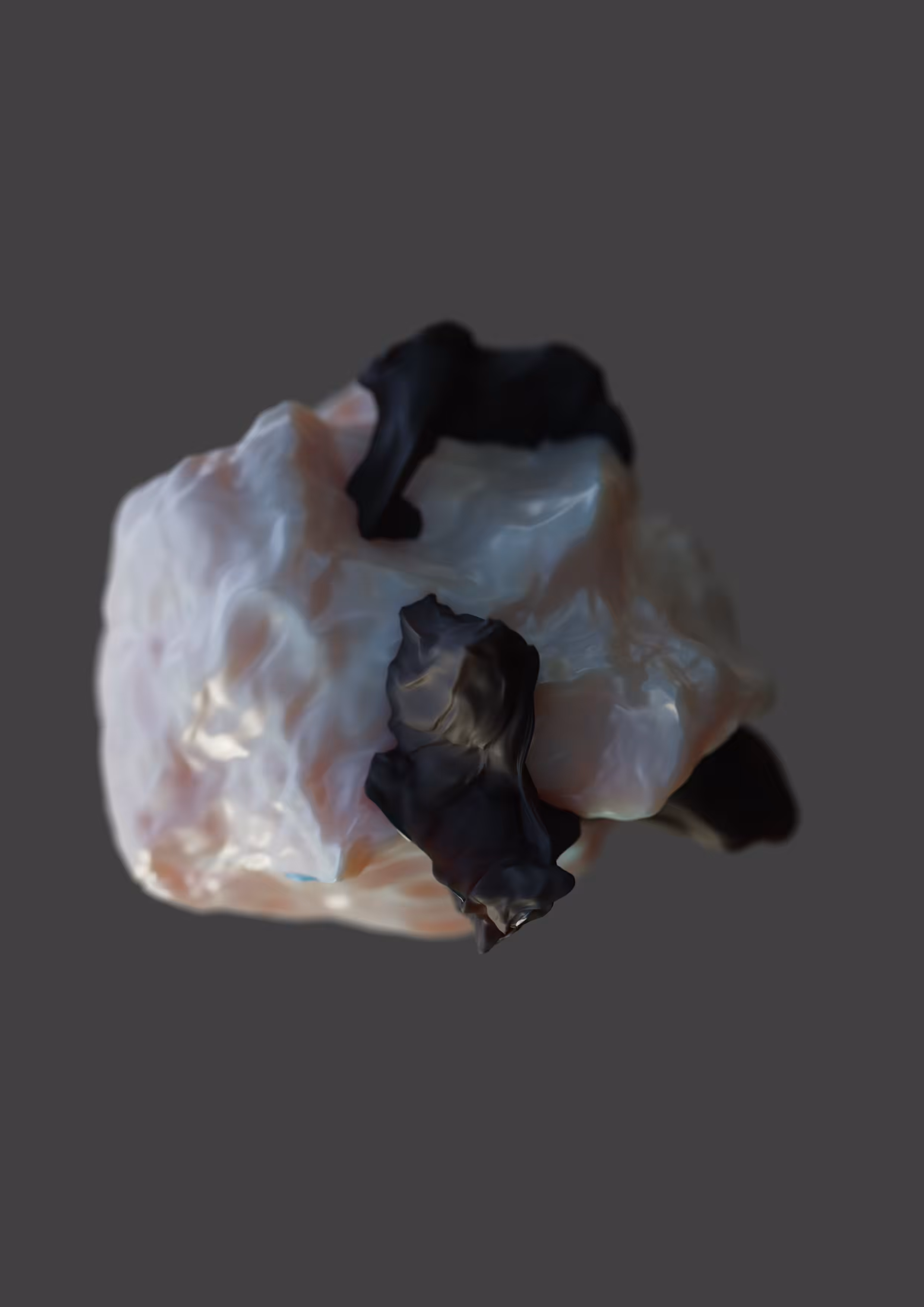 PEDRA PÁSSARO 22