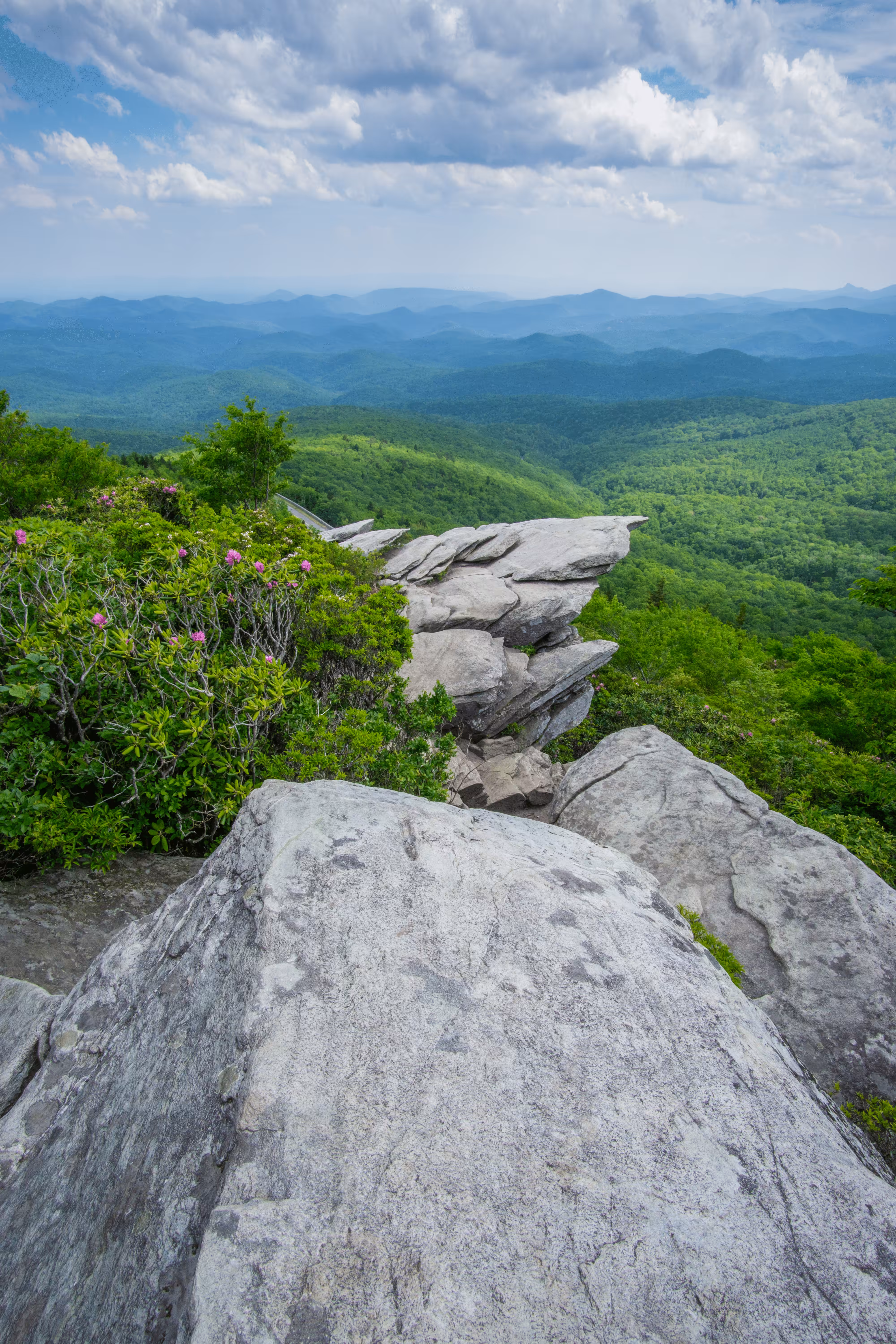 With Love From Appalachia #031