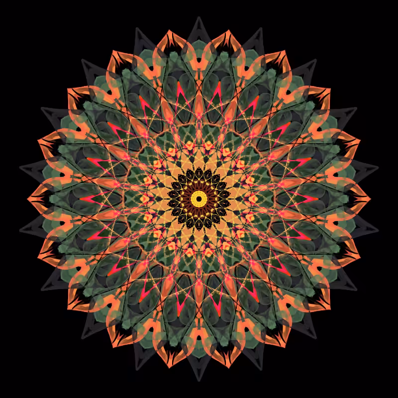 Morphing Mandala - #fxhashturnsone charity #75